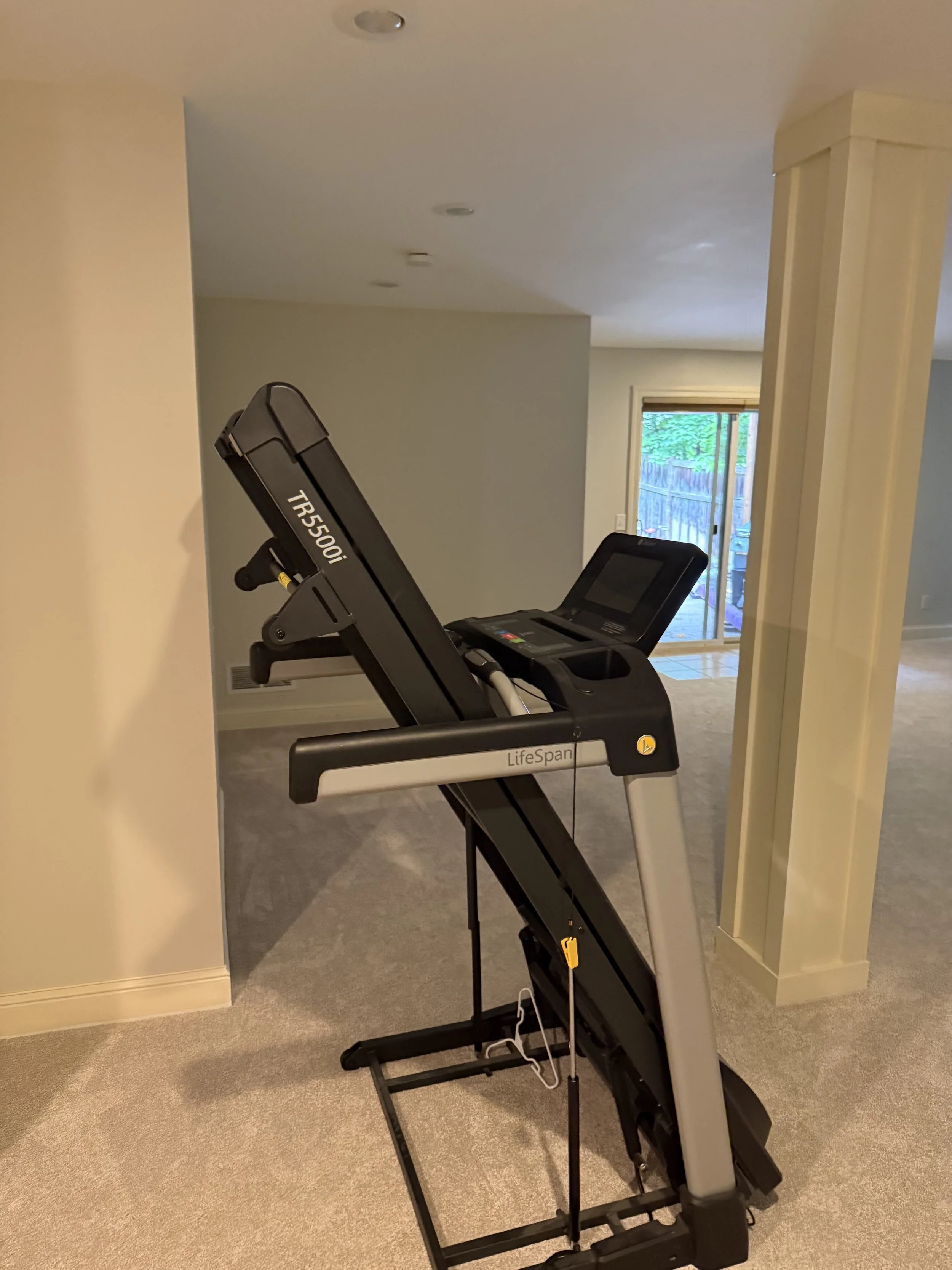 BEFORE: a treadmill in partially furnished basement family room in Wayzata, MN