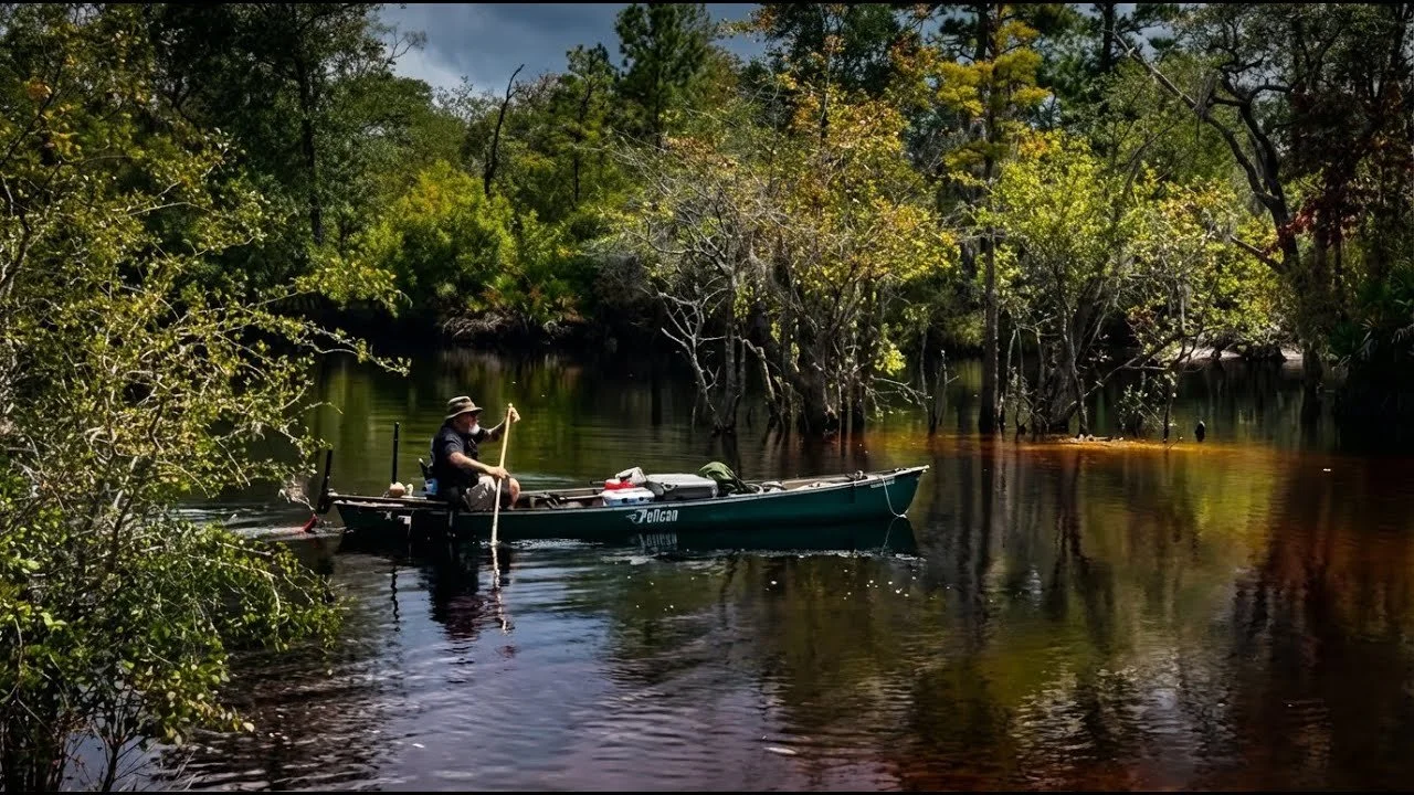 Suwannee Solo: Gators, Storms, and the "Milky Way"