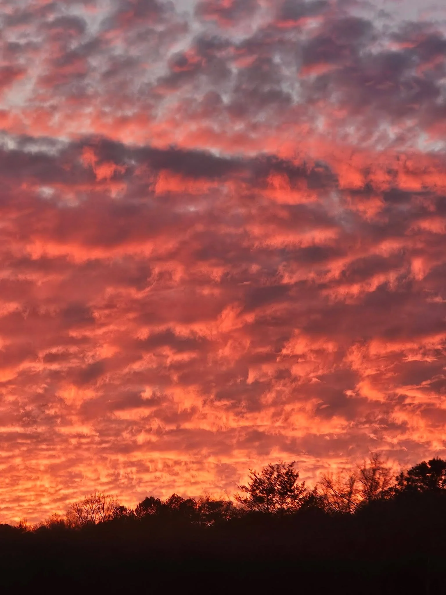 DEC 31 2025 Sale Creek Tn