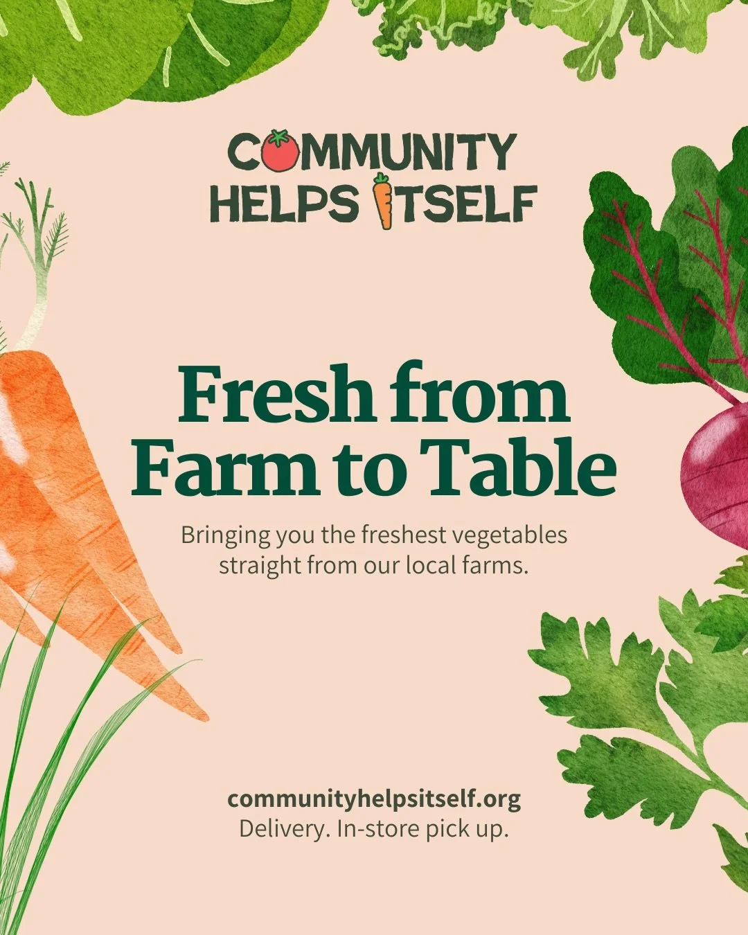 Local farm fresh produce, delivered right to your door weekly, bi-weekly, or monthly.

A home of 1 or 2 that cooks a few times a week would be a perfect fit for the Mini produce box.

A family of 3-5 that also cooks a few times a week would be perfec