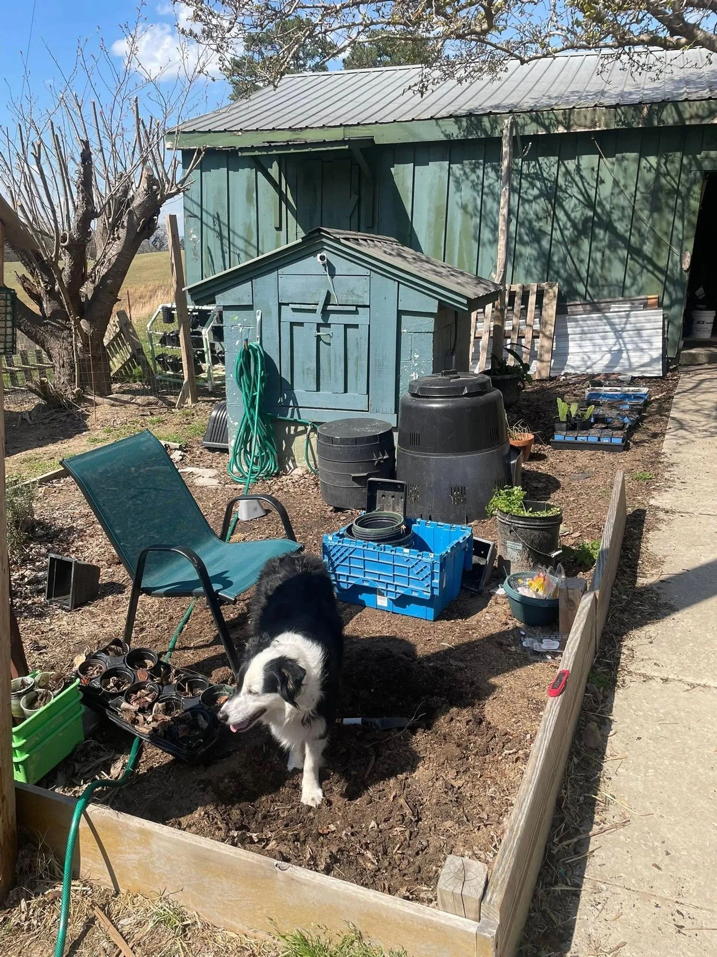 CLEAN FOOD starts with healthy soil. 🌱✨

While our city tackles the big job of cleaning up contaminated urban areas, our local farmer partners are already deep in the work of nurturing living, nutrient-dense soil. 

At CHI Markets, "clean"