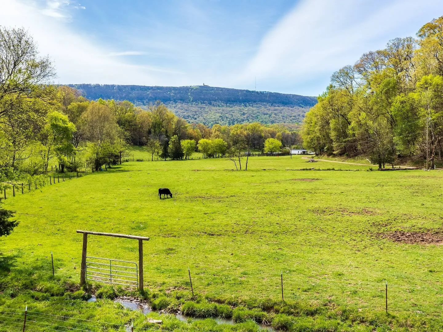 Green farm field with a black cow grazing, surrounded by trees, distant houses, and hills under a partly cloudy sky.