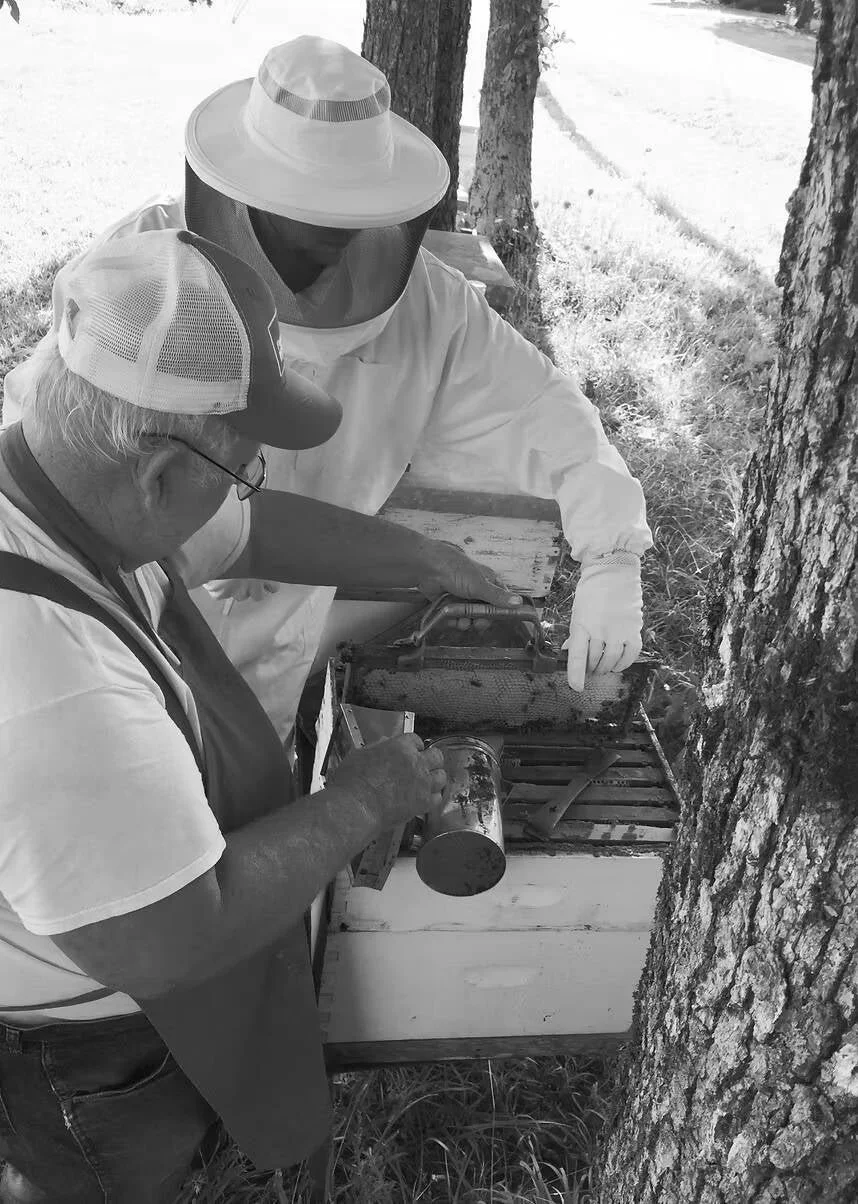 Two beekeepers working together on a beehive box outdoors, one pouring a substance into the hive and the other handling a frame in a shaded area near trees.