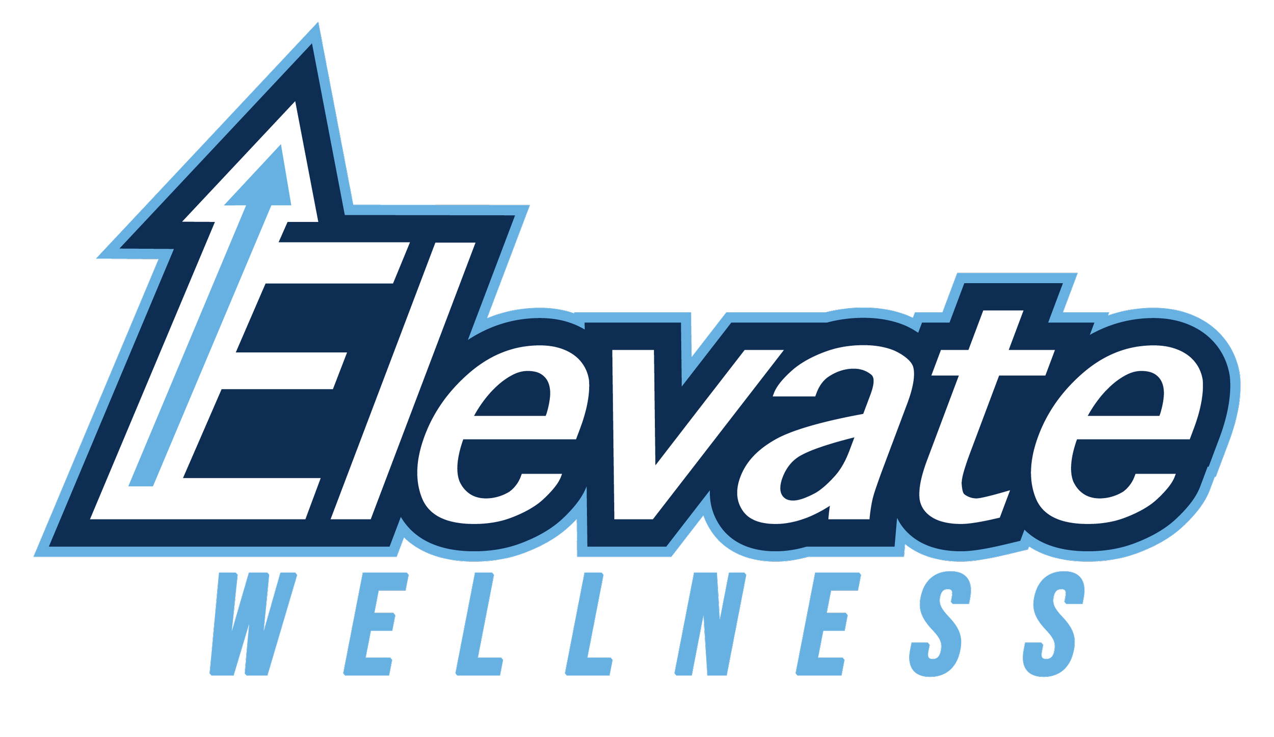 Elevate Wellness Group