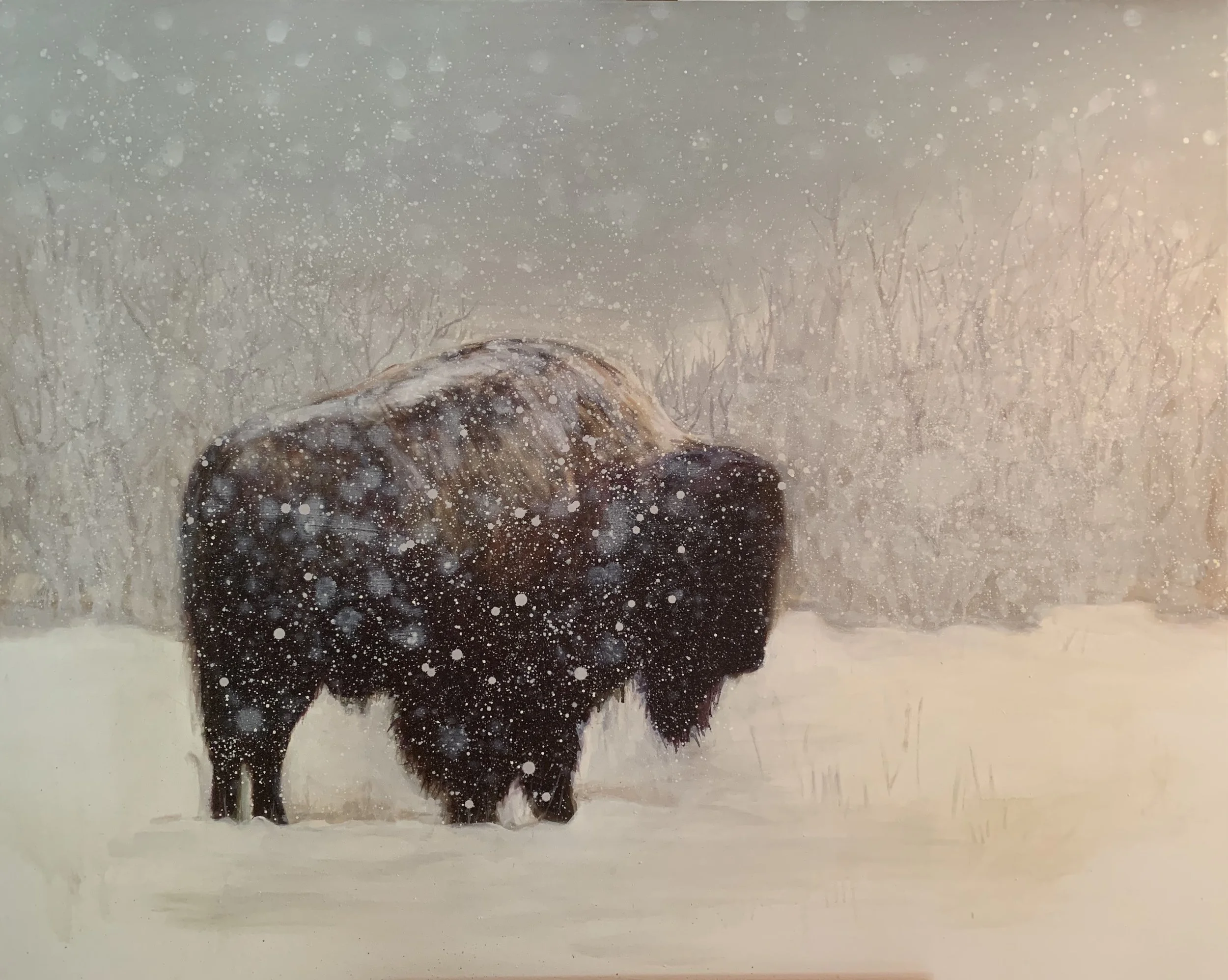 "Bison in Snow" oil on canvas