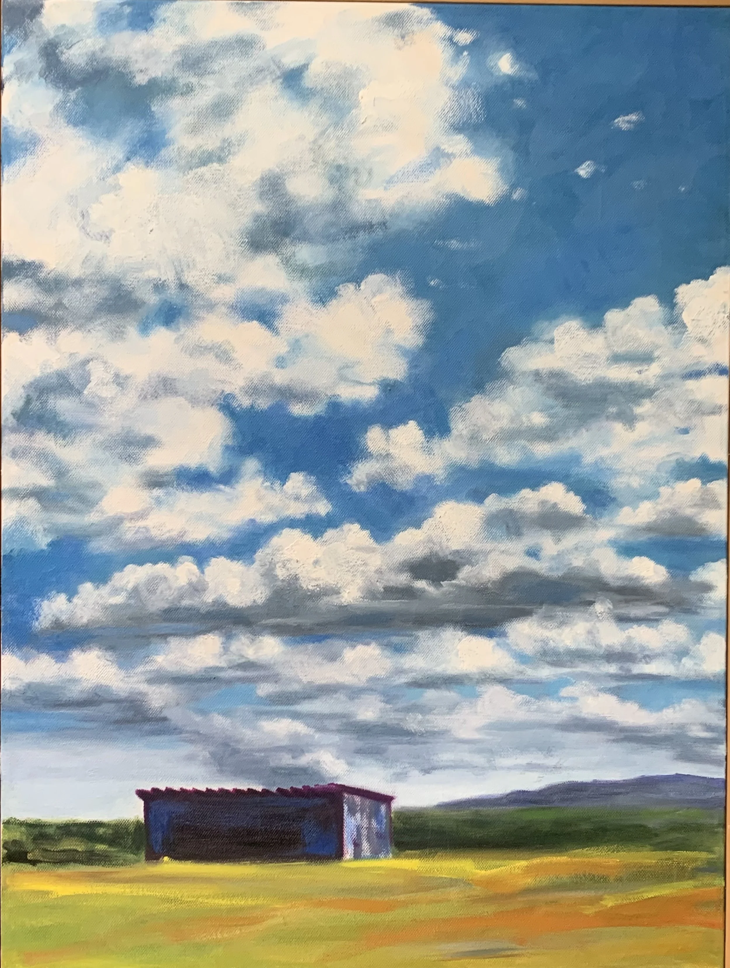 "Wyoming Shed #2" oil on canvas