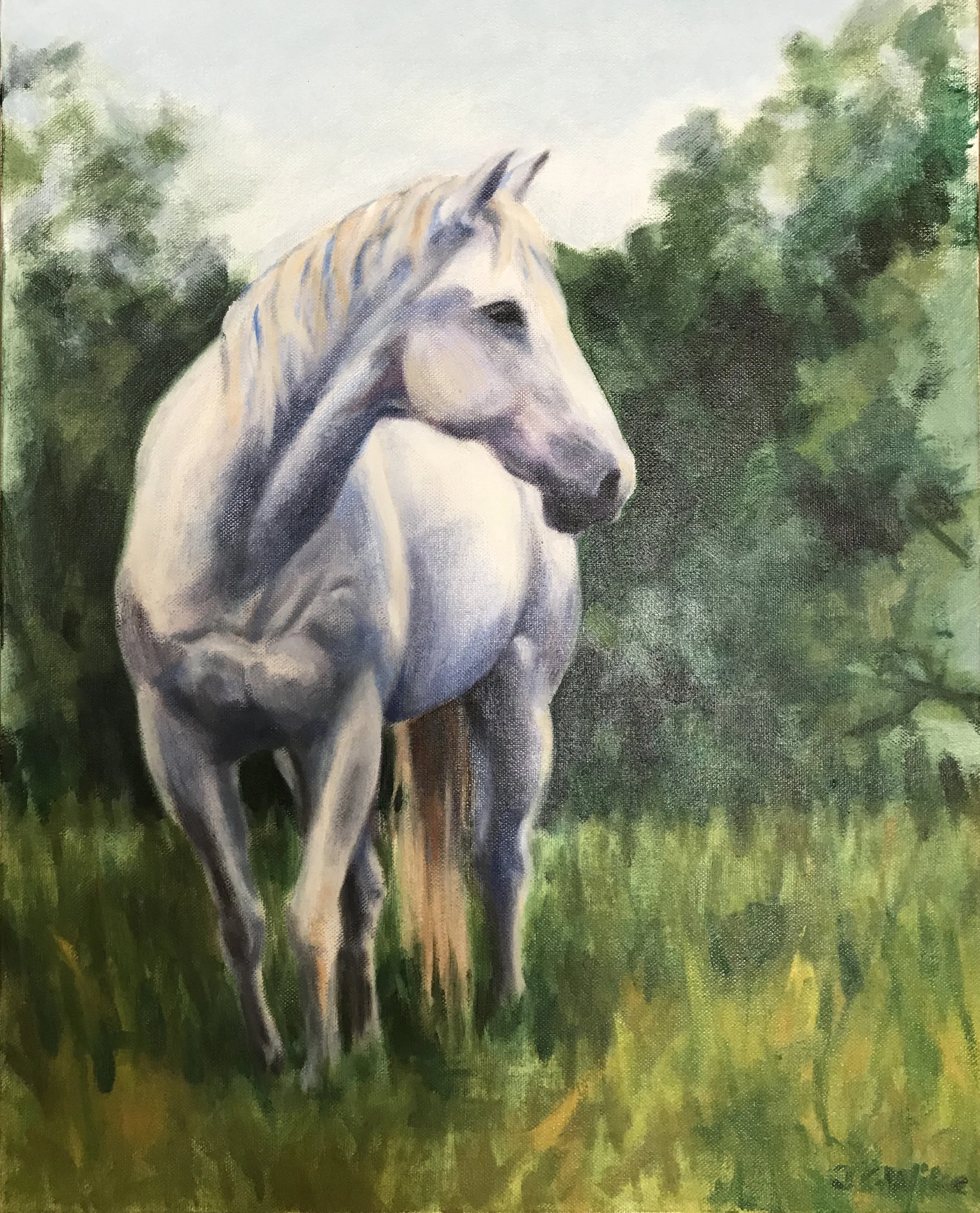 "White Horse" oil on canvas