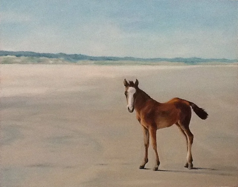"Cumberland Island Foal" oil on canvas