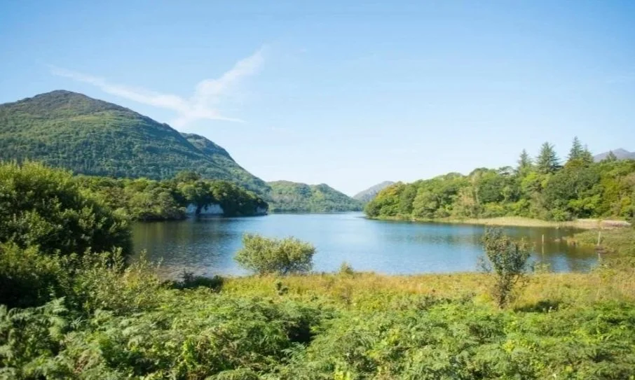 The tranquil Lakes of Killarney surrounded by woodland and mountains in the heart of Killarney National Park.