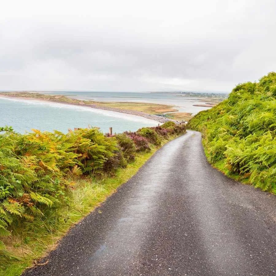 Private Ring of Kerry tour along coastal road with views over the Atlantic and surrounding hills in County Kerry
