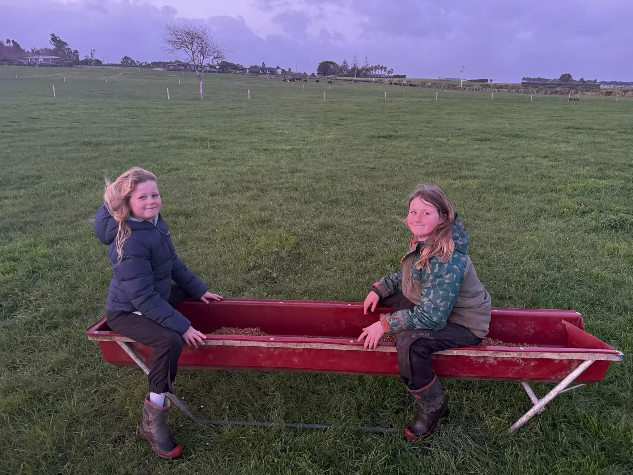 Payne Livestock & Auctioneers | Two young girls sitting in a calf feeder in the paddock.