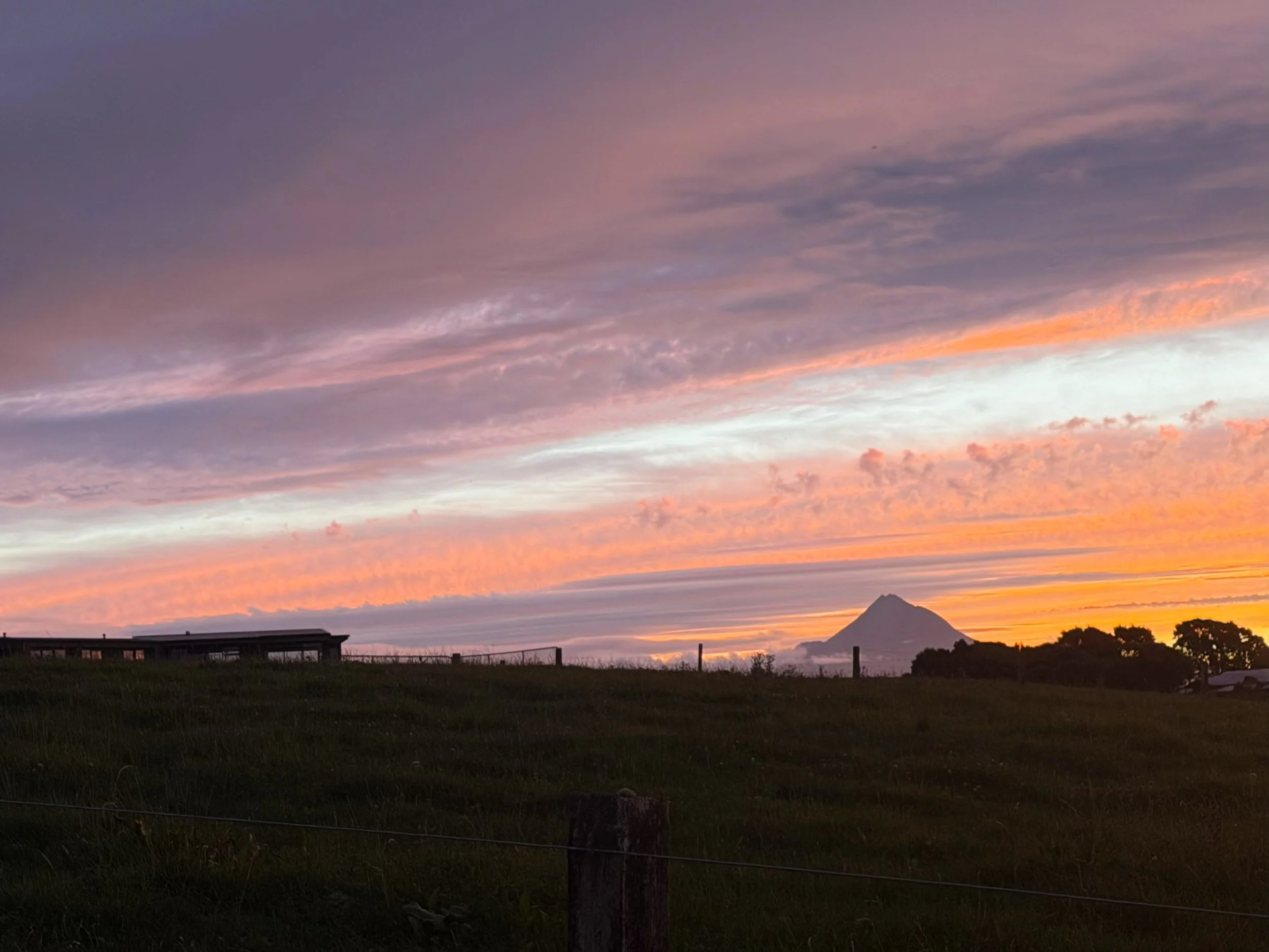 Payne Livestock & Auctioneers | Taranaki Sunset.