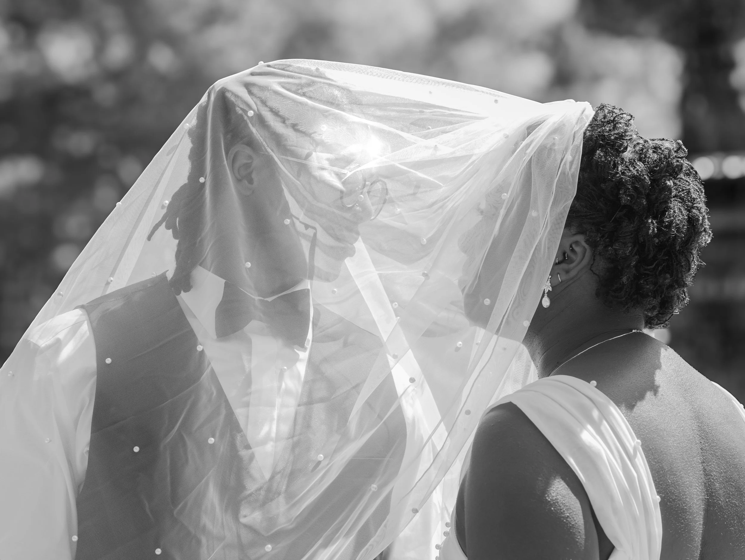 A bride and groom share a kiss under a veil during their outdoor wedding, with sunlight highlighting the scene in black and white.