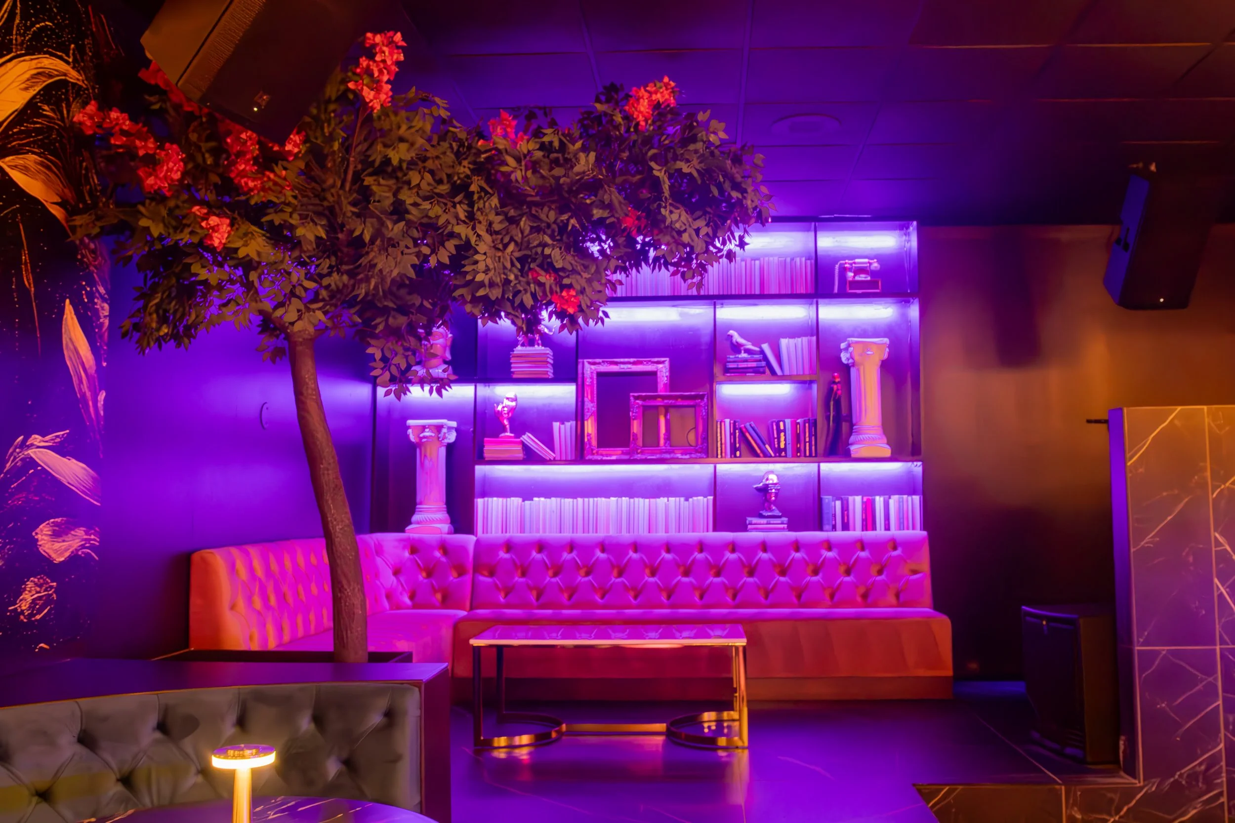 Colorful lounge with neon purple lighting, pink tufted sofa, a small table, a faux tree, and a bookshelves with decor and picture frames.