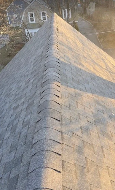 View of a sloped house roof with gray asphalt shingles, seen from above, with neighboring houses and trees in the background.