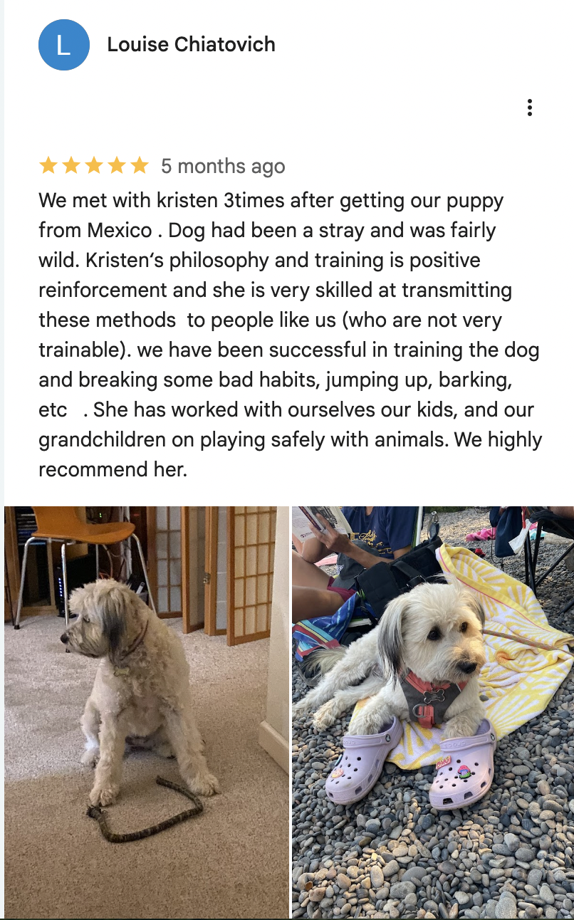 Screenshot 2026-02-13 at 2.51.42 PM.png