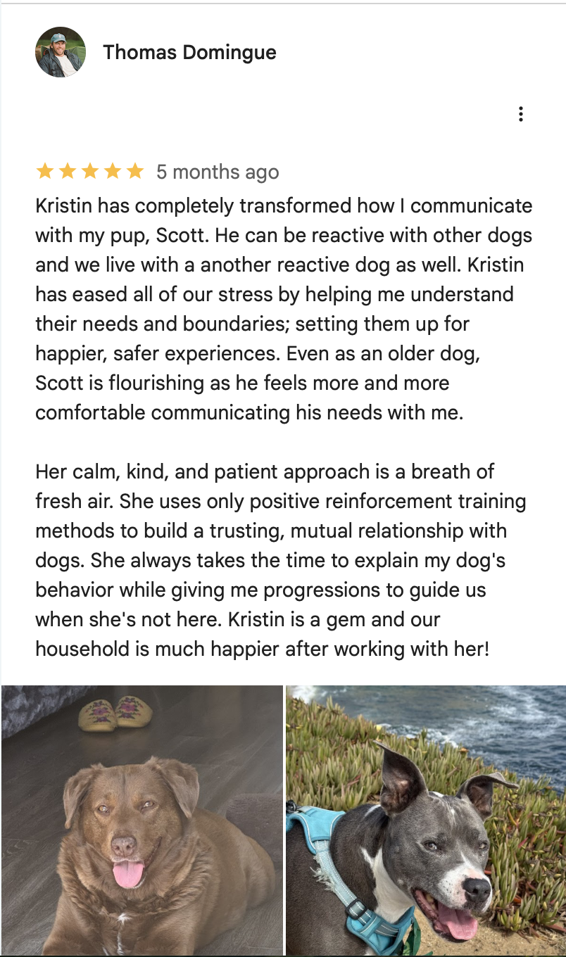 Screenshot 2026-02-13 at 2.53.59 PM.png