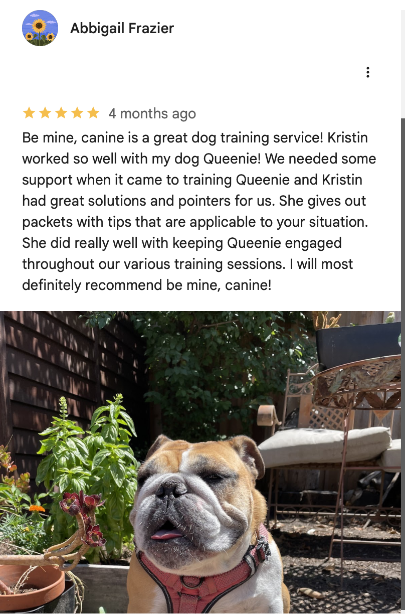 Screenshot 2026-02-13 at 2.54.21 PM.png