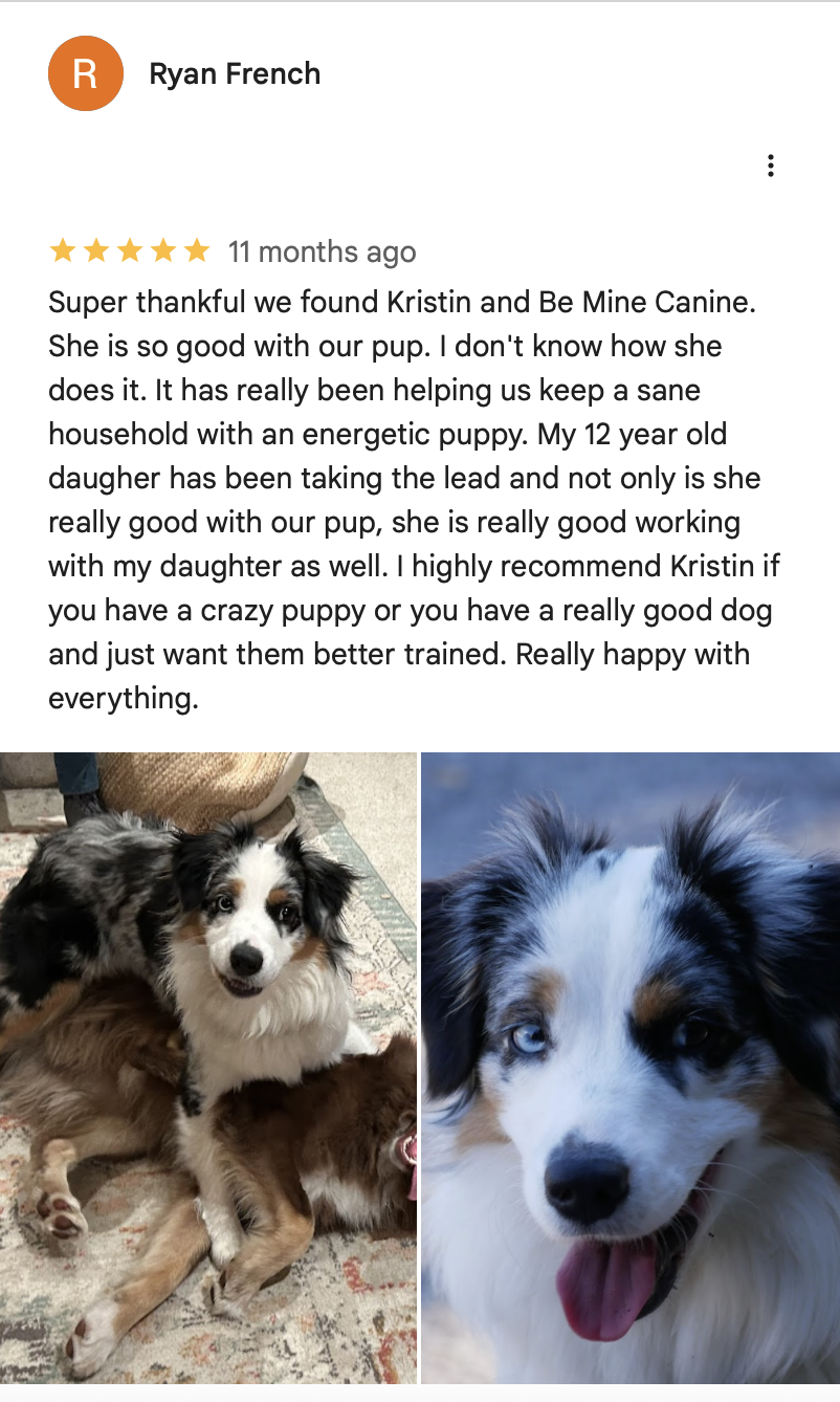 Screenshot 2026-02-13 at 2.55.37 PM.png