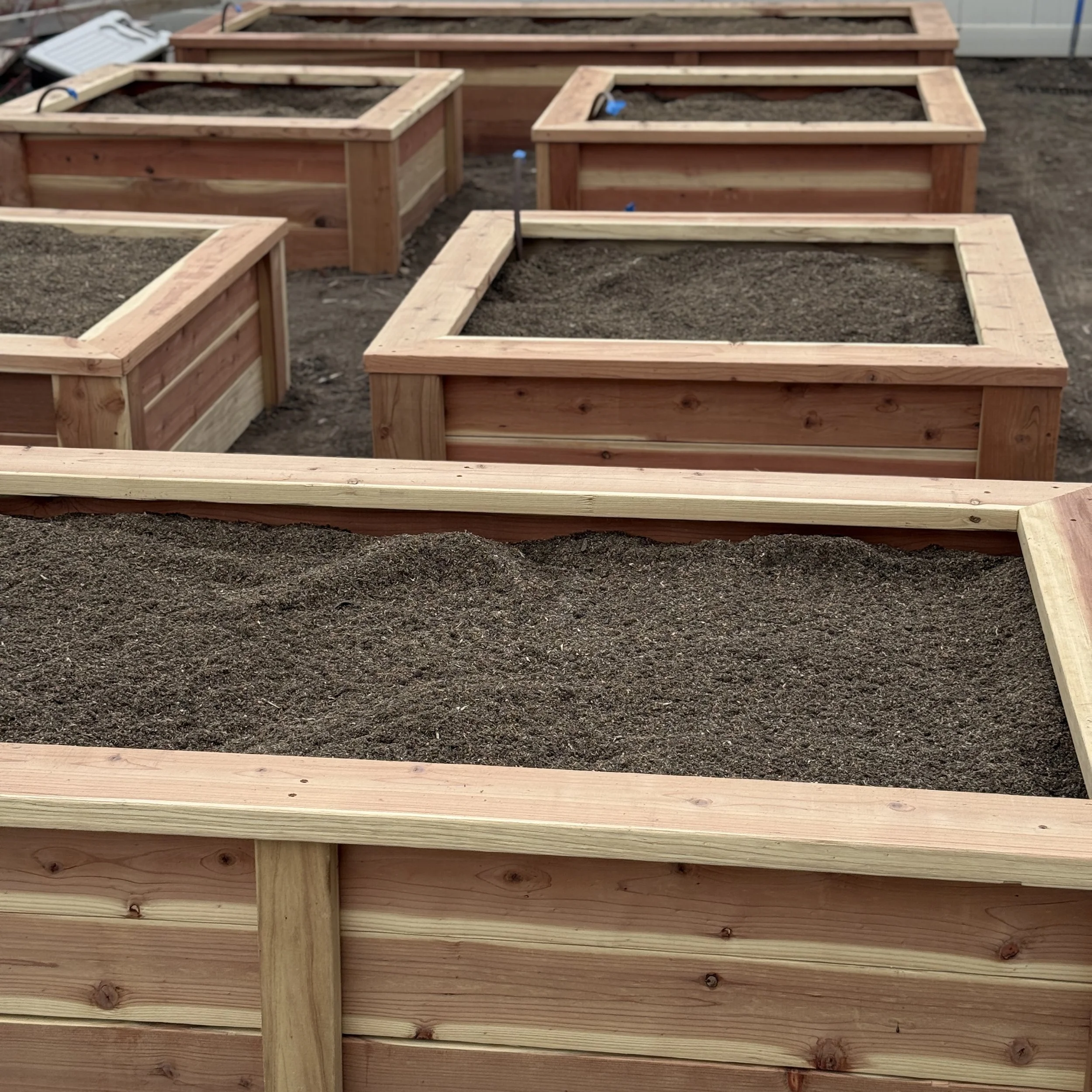 Close Up 2 - 10x4.JPG