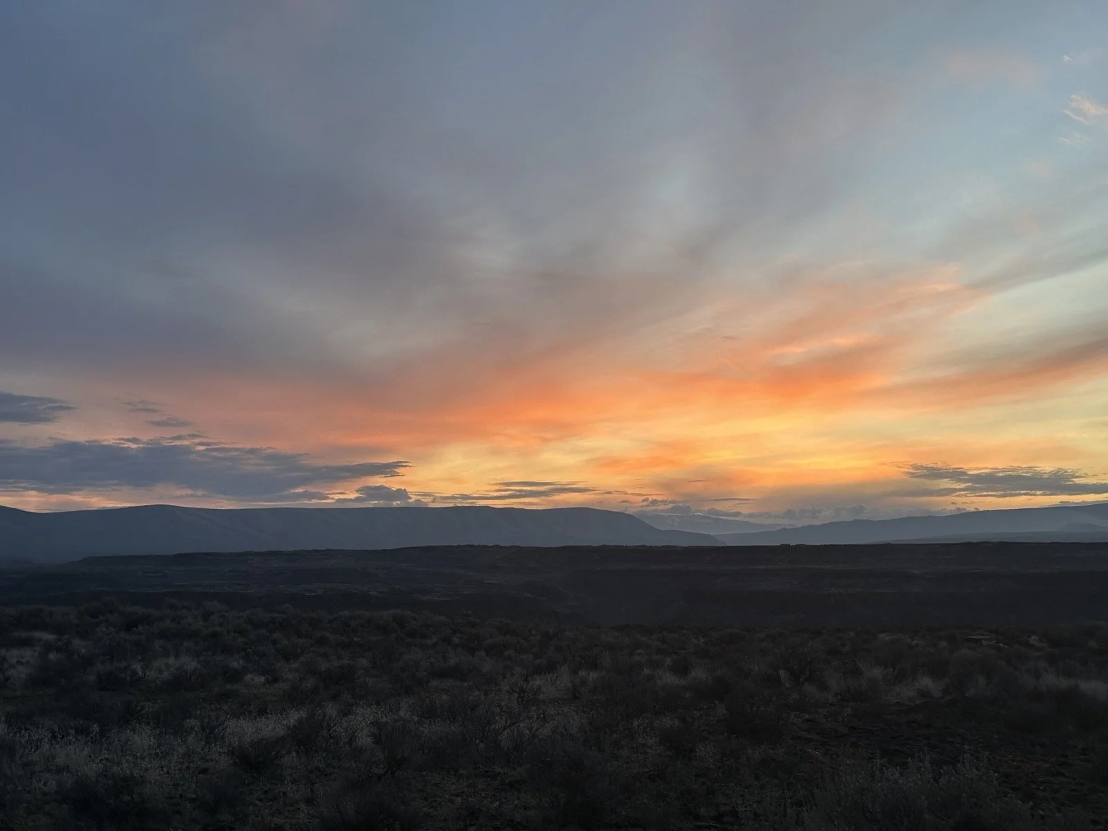 Our front yard at sunset