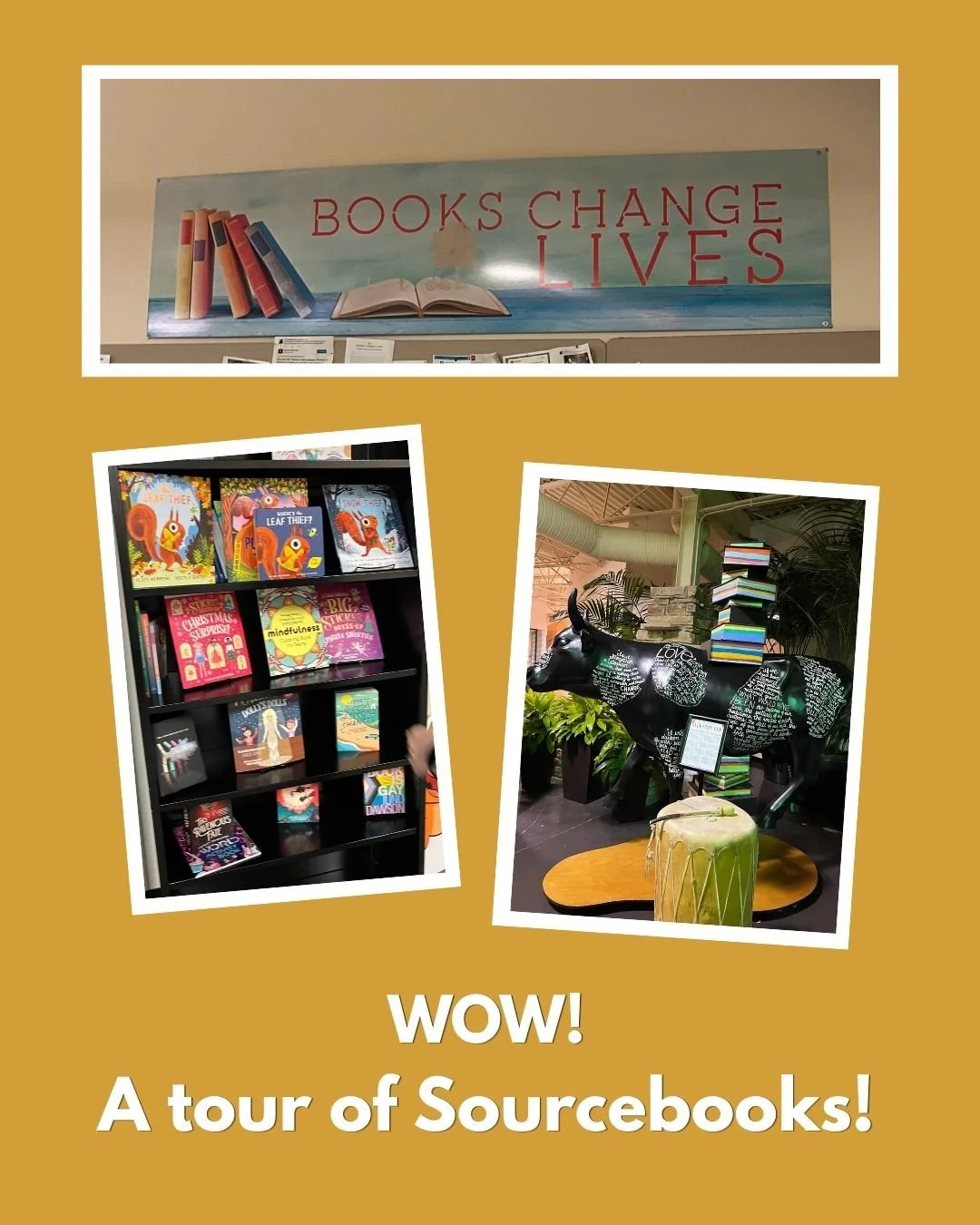 Thank you Sourcebooks for a wonderful tour! And thank you SCBWI-IL and Dandelion Bookshop for organizing it! What an incredible experience! 

"Books Change Lives!" - Dominique Raccah, Founder of Sourcebooks