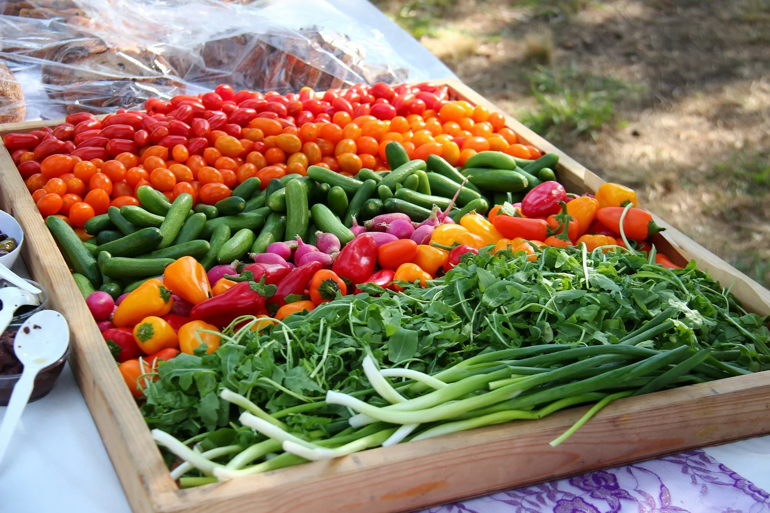 A colourful display of fresh vegetables ready for customers