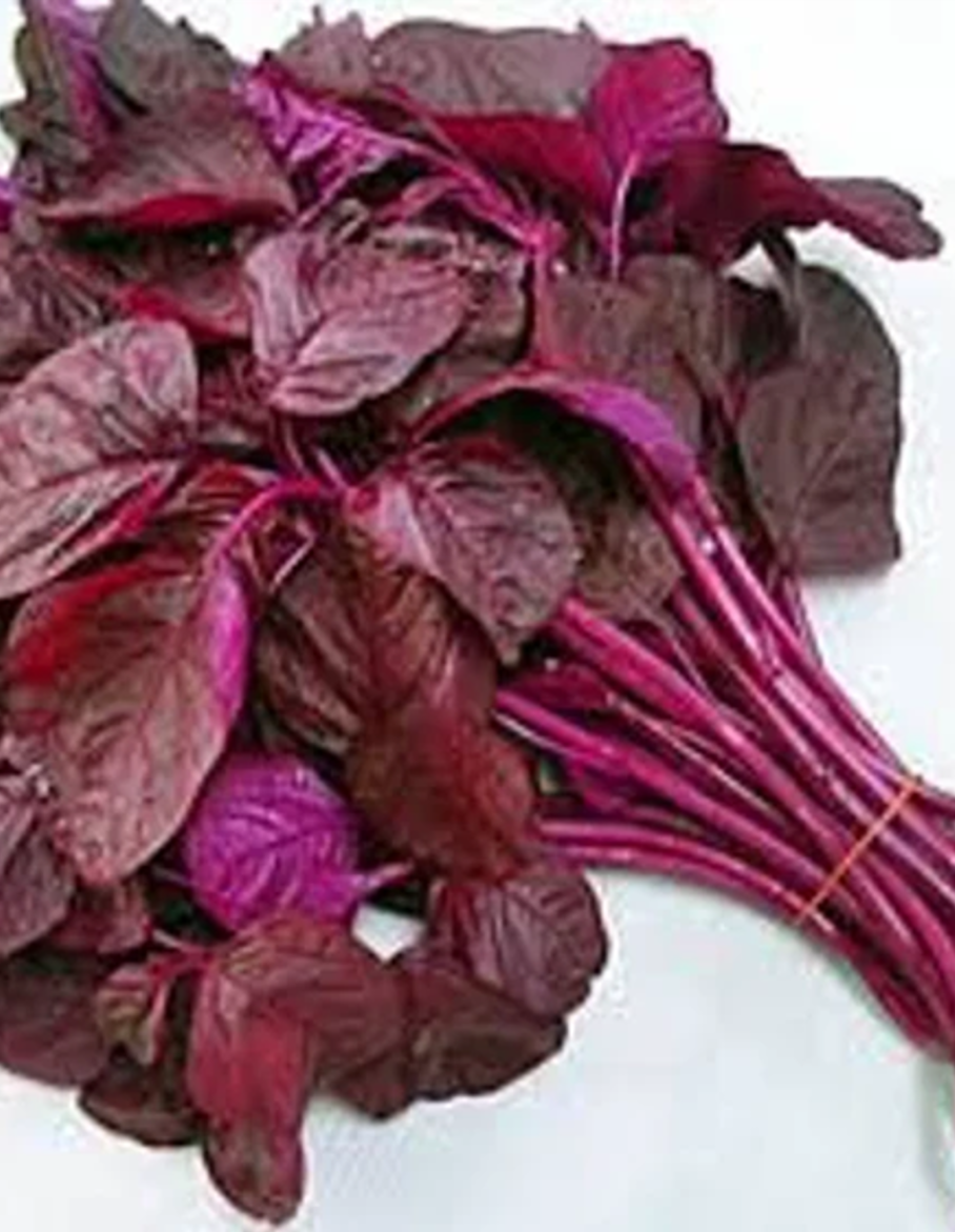 Red amaranth 2.png