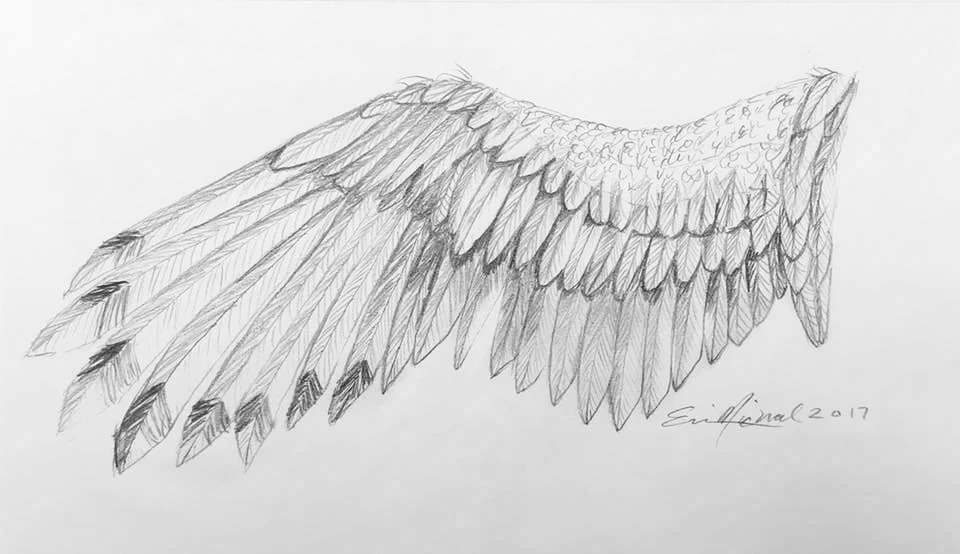 IMG_1368.png