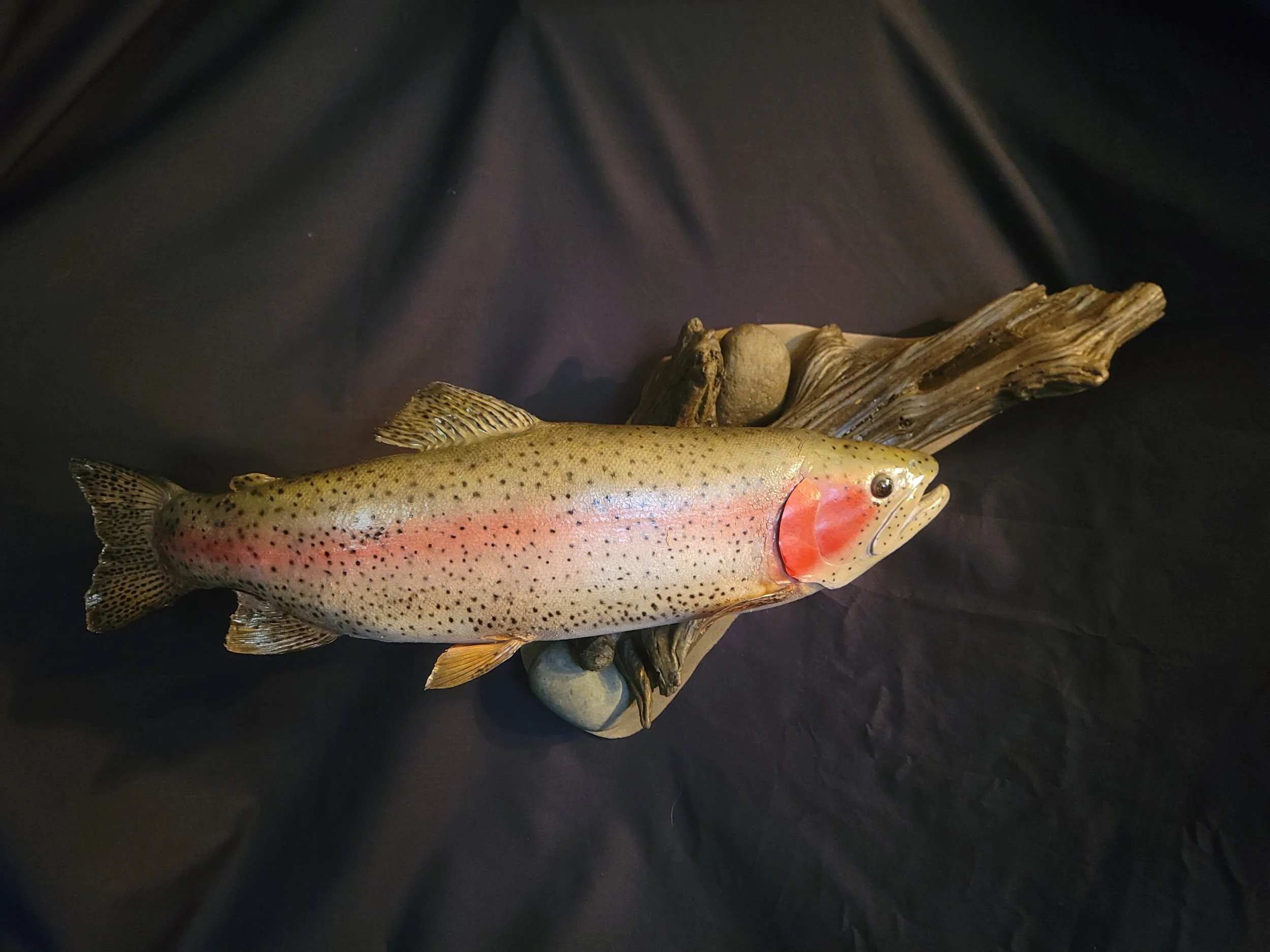 A realistic model of a rainbow trout lying on a piece of driftwood with rocks on a dark surface.