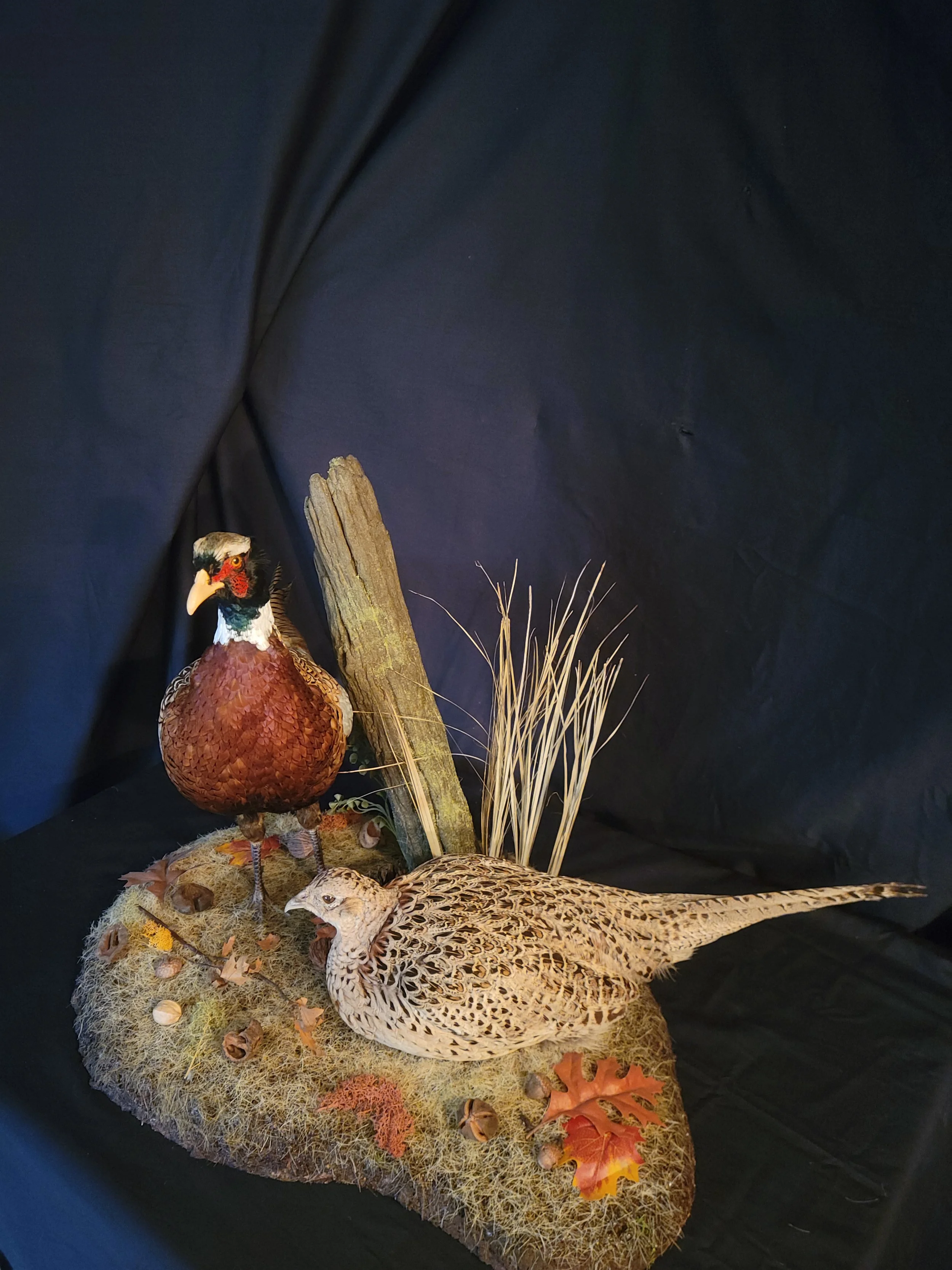 Decorative model of a pheasant and a quail set on moss and autumn leaves with dried grass, a small log, and dried grasses.