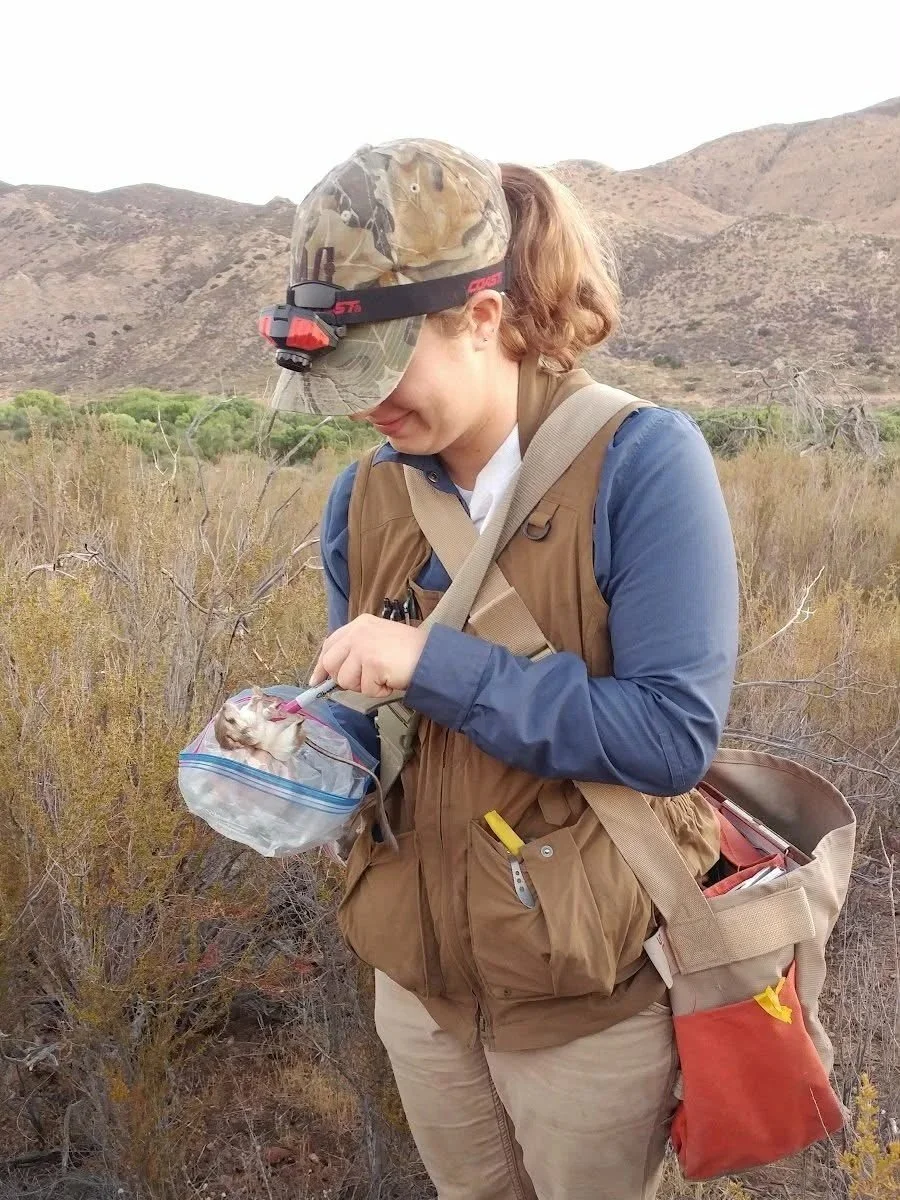 Ellen Cassidy wears a brown vest, and khaki pants stands outdoors in a desert landscape. She is holding a small mammal, and is looking down at it.