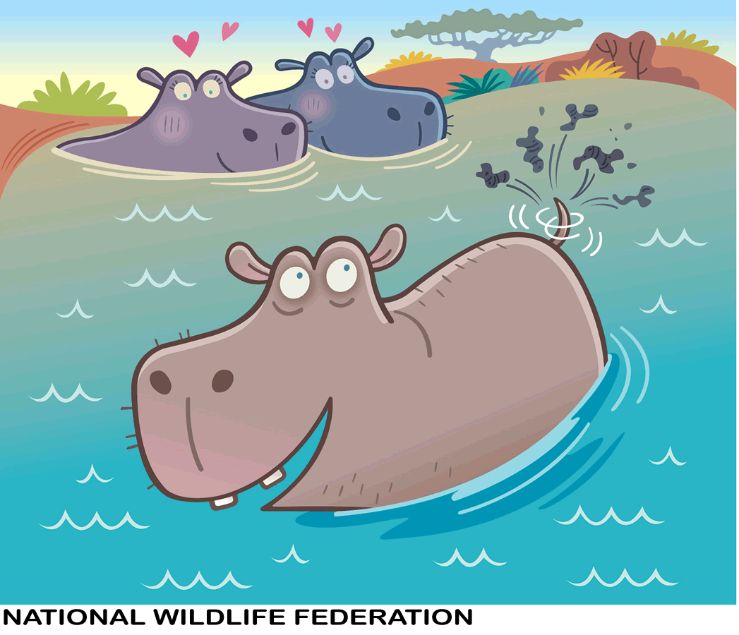 6hipporomance w title.png