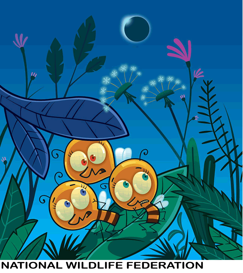 2beeseclipse w title.png