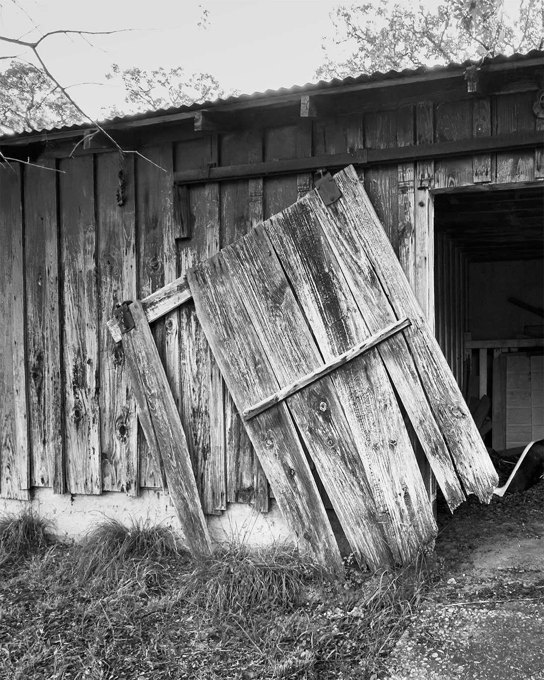 Barn Door.jpg
