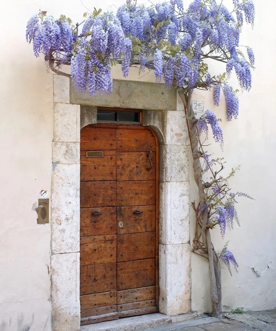 An old wooden door surrounded by a stone frame with purple wisteria flowers growing over it on a white wall.