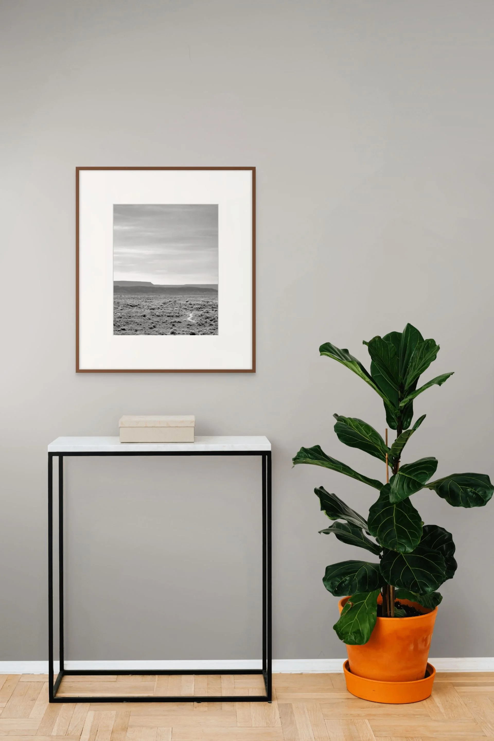 new mexico horizon-min-medium.jpg
