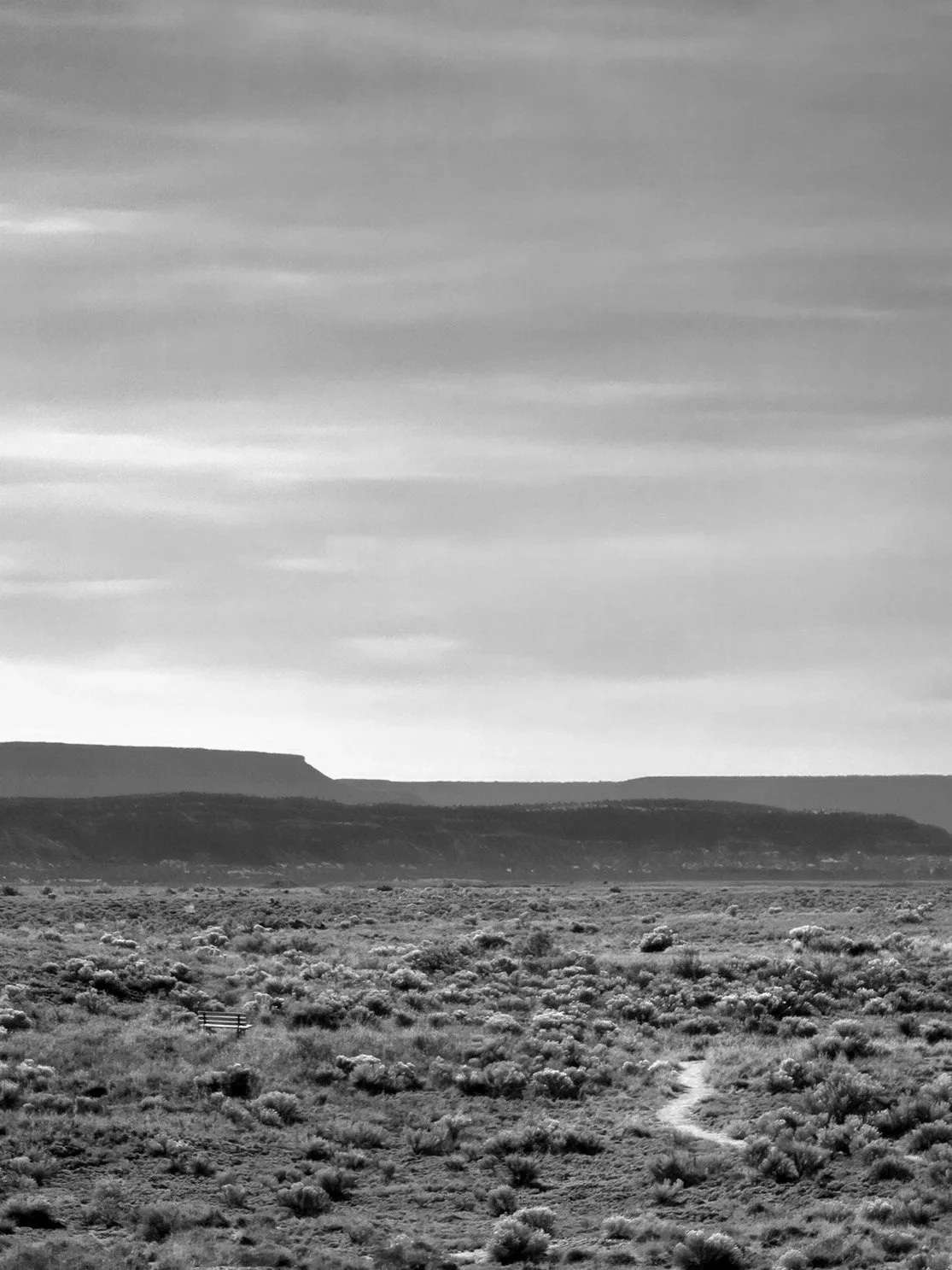 Black and white photo of a desert landscape with sparse bushes, a dirt trail, a wooden picnic table, and a flat-topped mesa in the background under an overcast sky.