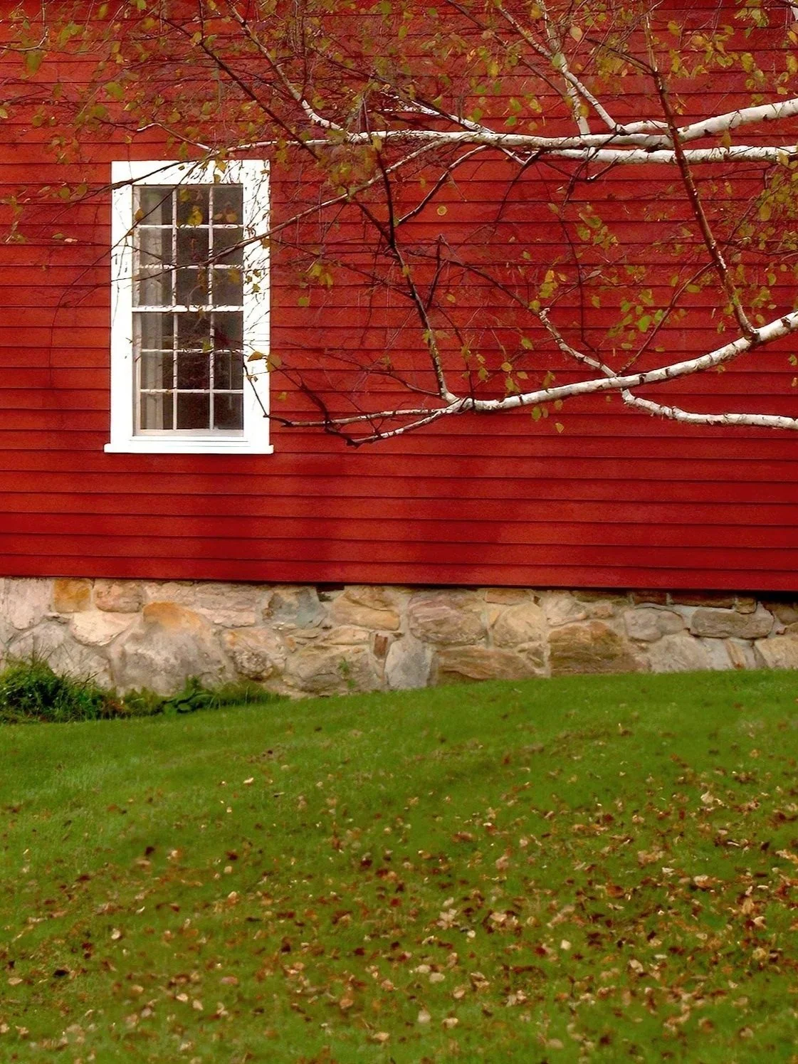 Red wooden house wall with a white-framed window, stone foundation, and a tree branch with few leaves extending across the wall, on a grassy lawn with fallen leaves.