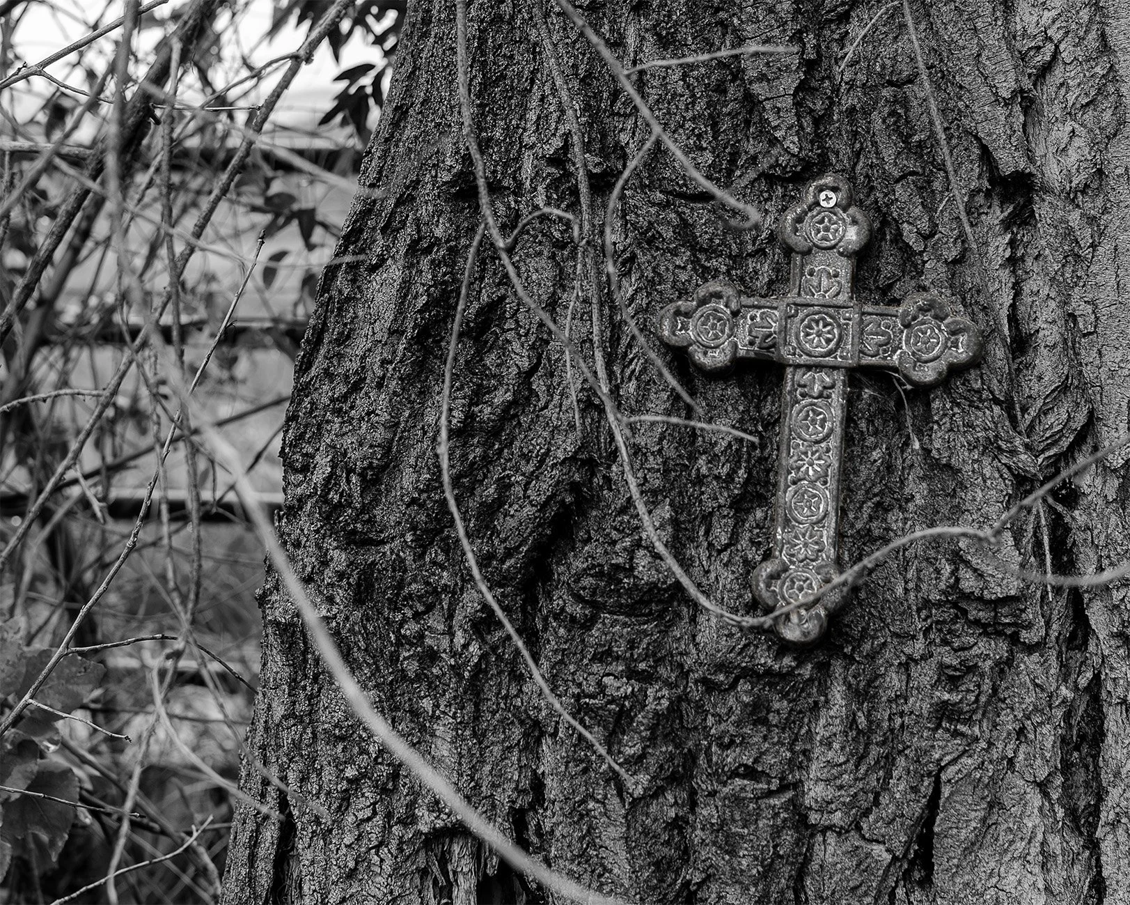 Tree with cross.jpg