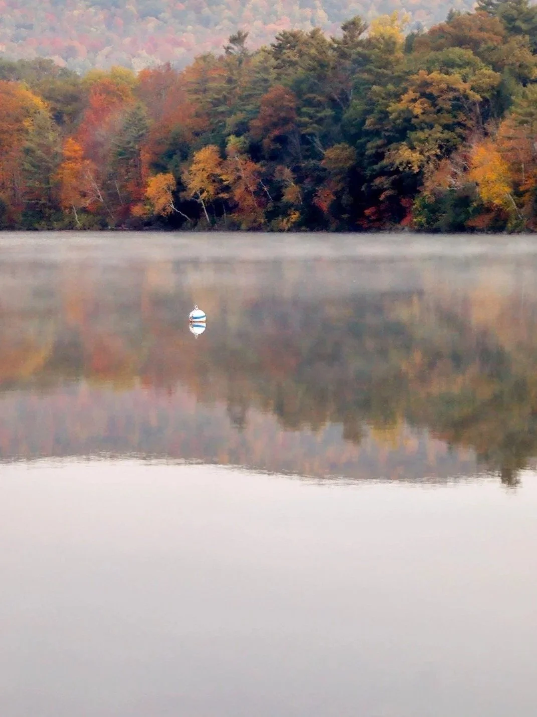 A calm lake with a floating buoy and a dense forest of autumn-colored trees reflected in the water.