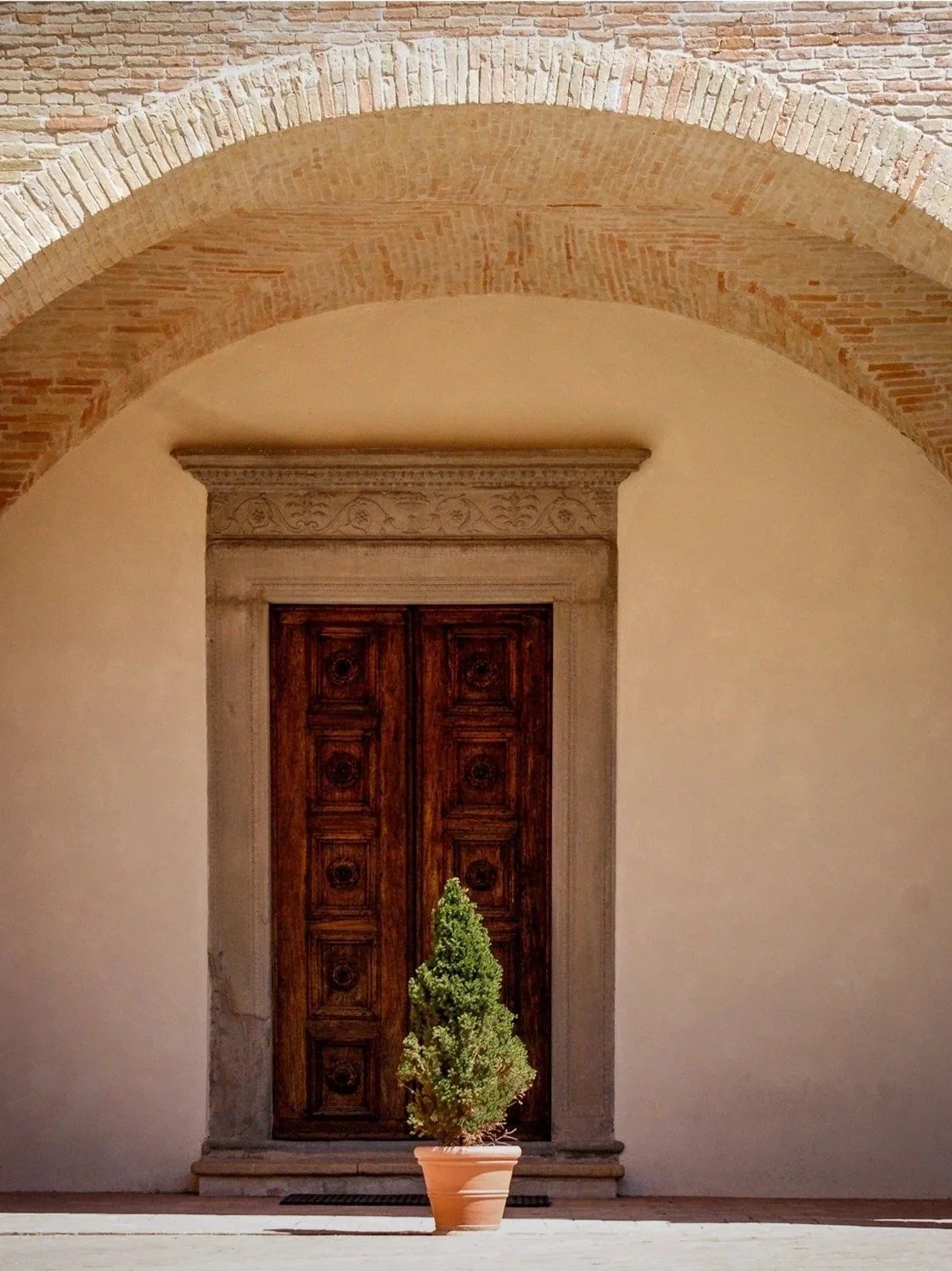 A small potted evergreen tree placed in front of a large wooden door with intricate carvings, set within a stone frame. The doorway is under an archway with brick walls above.