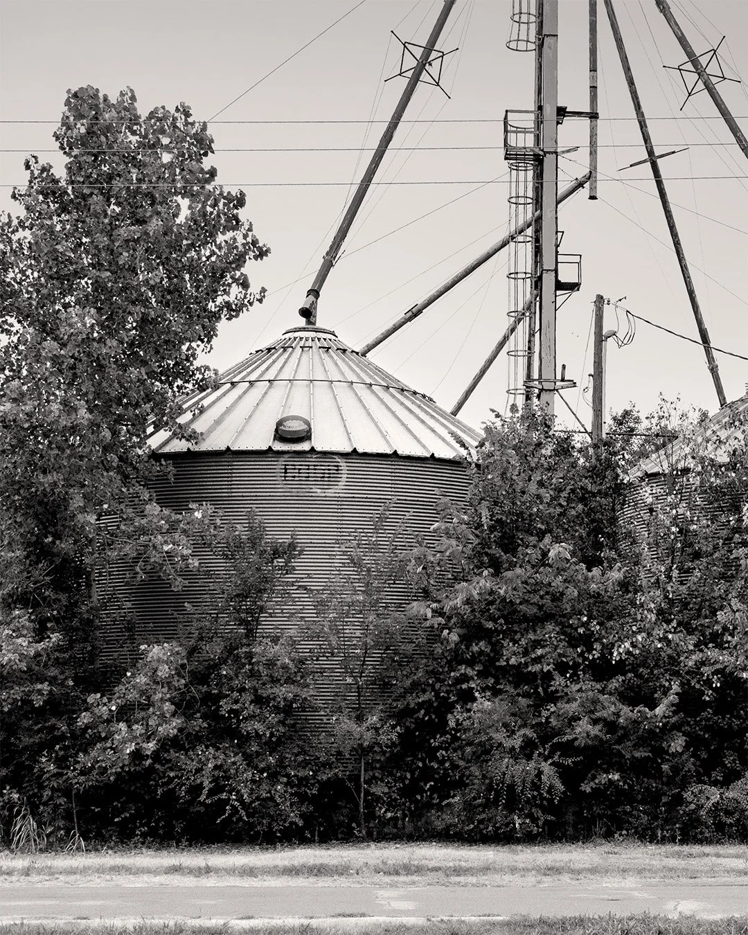 A grain silo with a metal roof and a small window, surrounded by trees and power lines overhead.