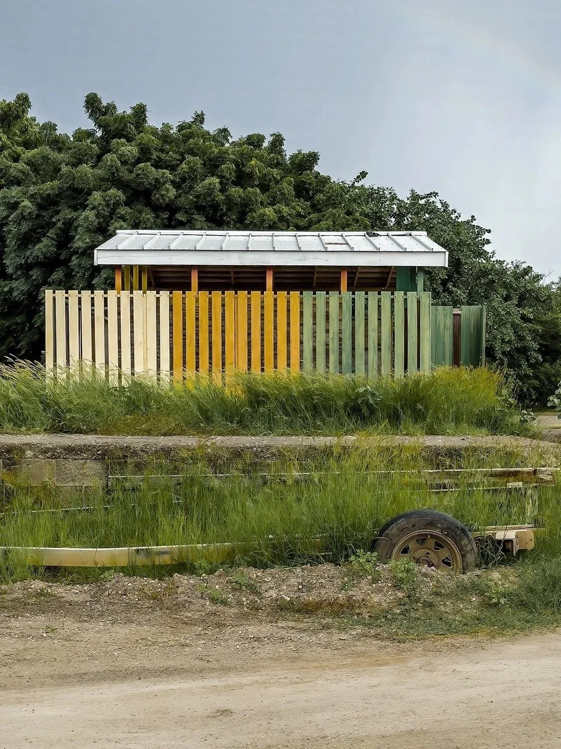 Colorful wooden fence with vertical slats in beige, yellow, green, and darker green, behind tall grass, with a metal roofed structure and trees in the background, next to a dirt road with an old rusted wheel and chassis in the grass.