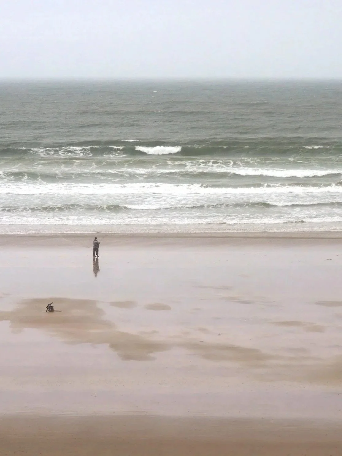A person standing on a sandy beach near the water, fishing, next to a small dog sitting in the sand, with the ocean waves and overcast sky in the background.