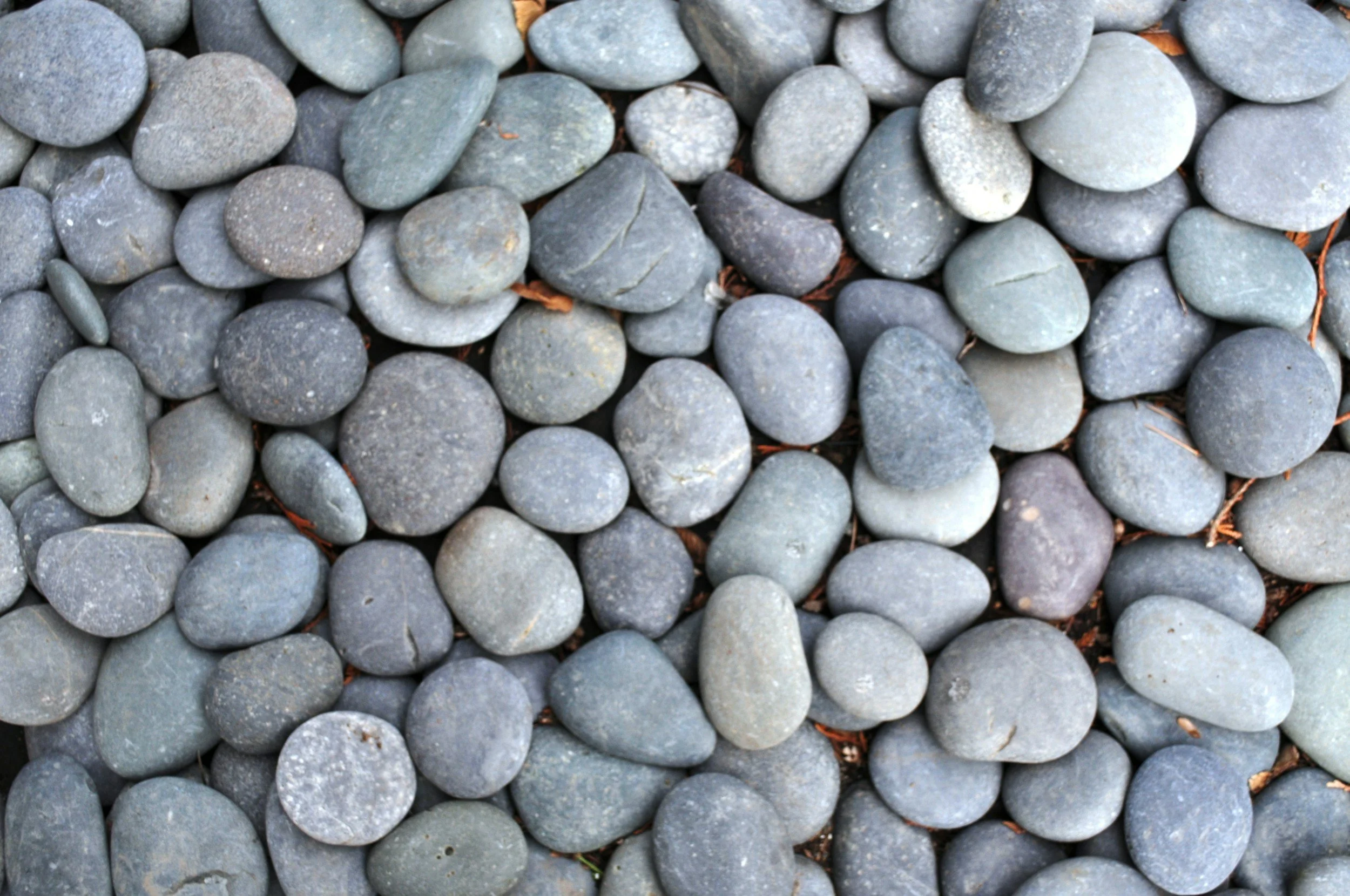 Light gray rock pebbles