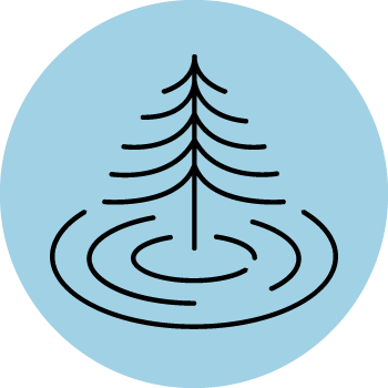 A dark tree and ripples of water in a blue circle
