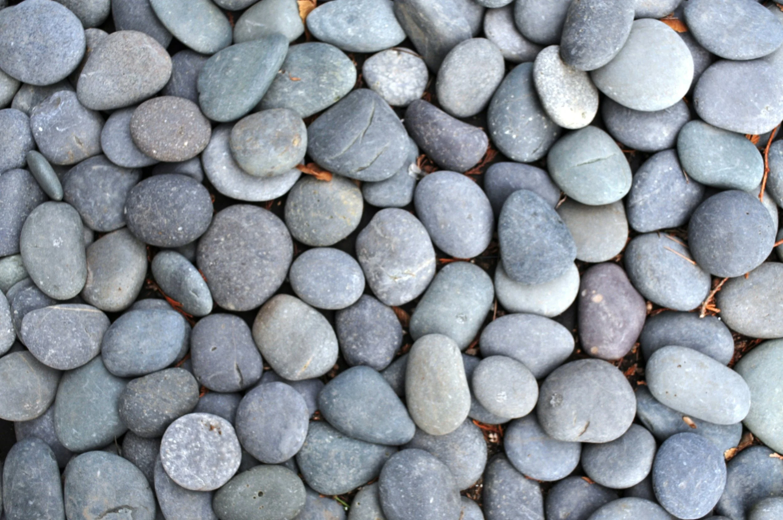 Light gray rock pebbles