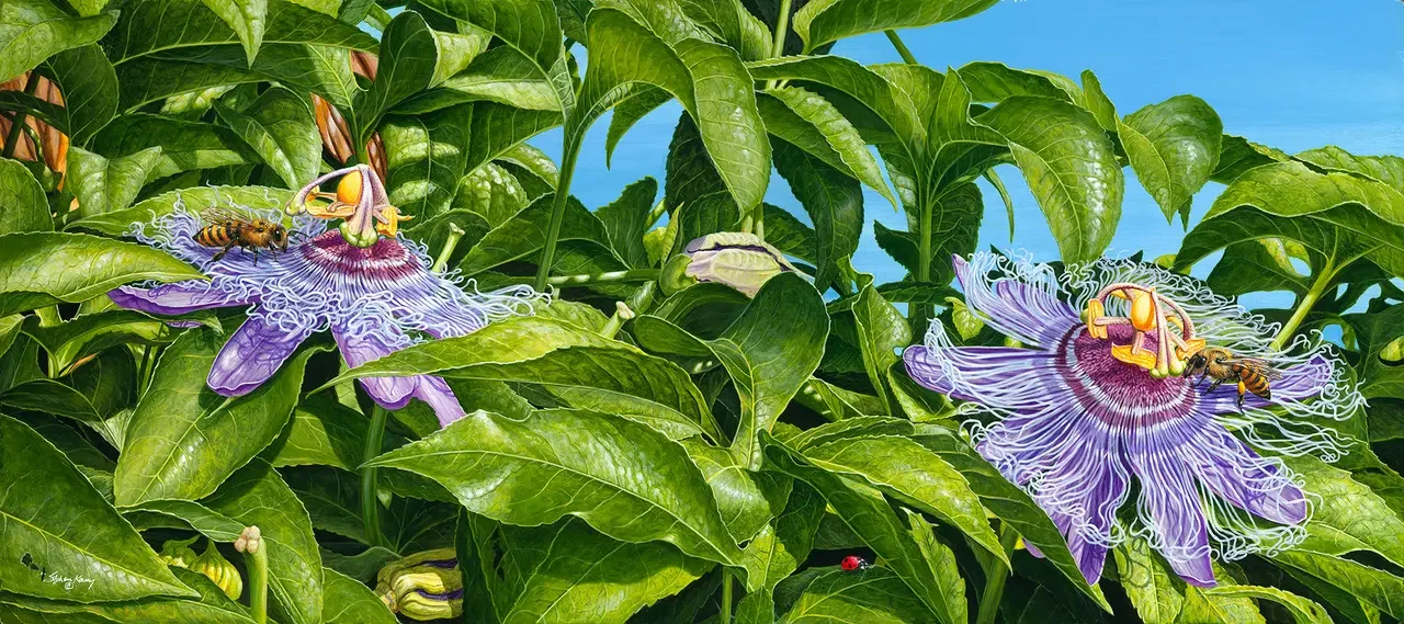 ‘Sisters’ by Stephen Koury