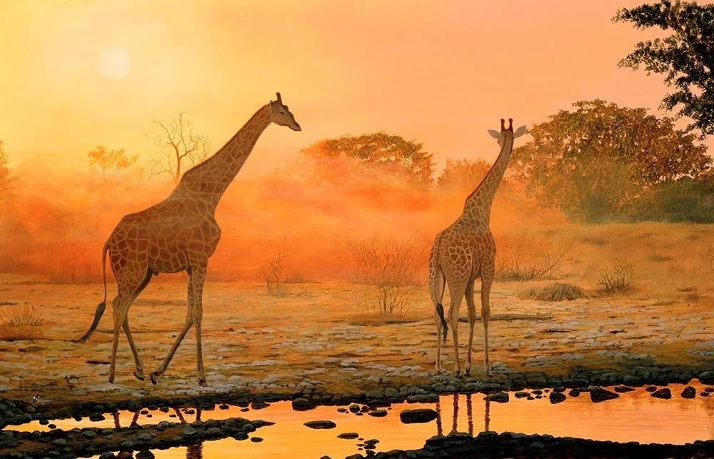 ‘Gold Dust’ by Stephen Koury